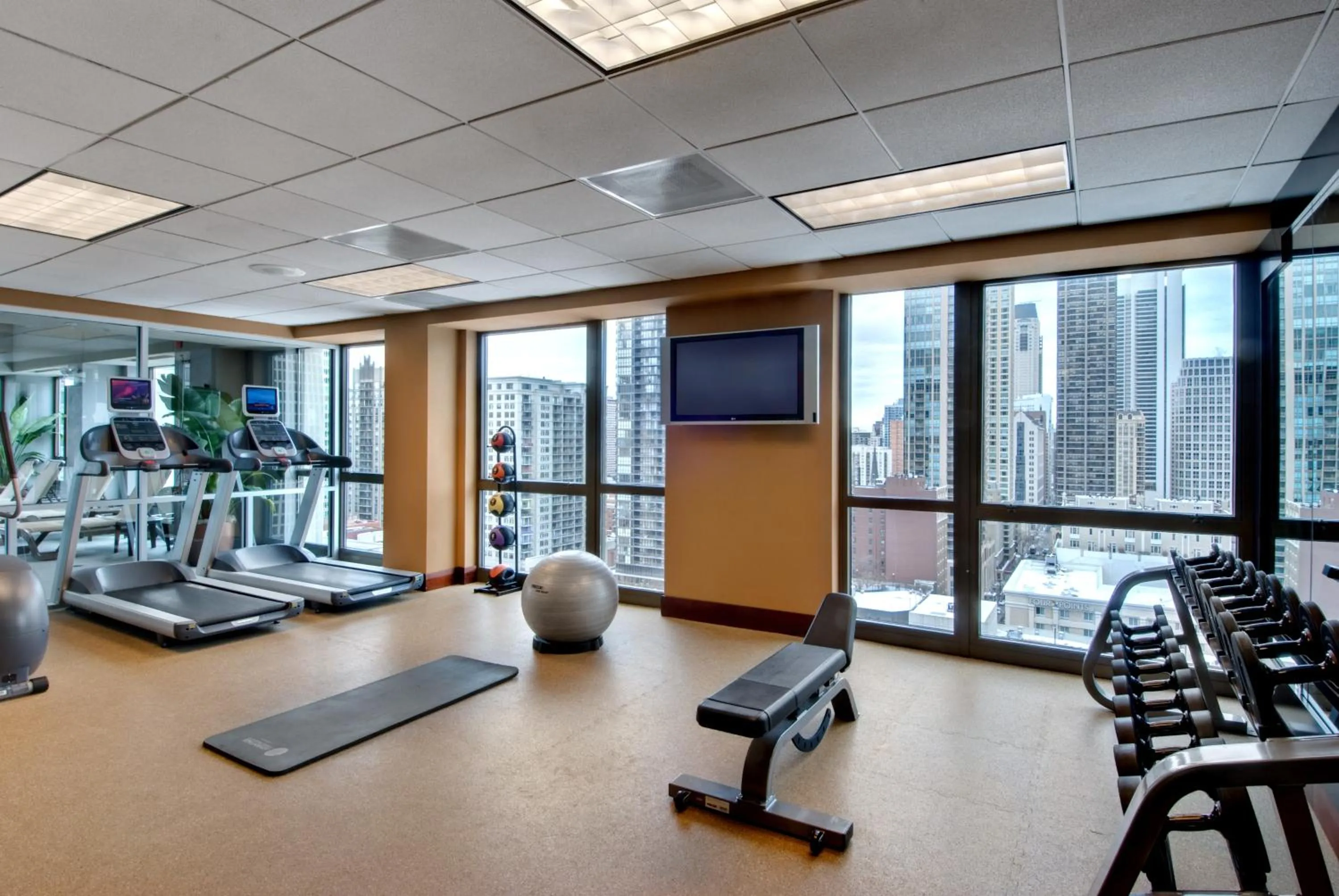 Fitness centre/facilities in Homewood Suites by Hilton Chicago-Downtown