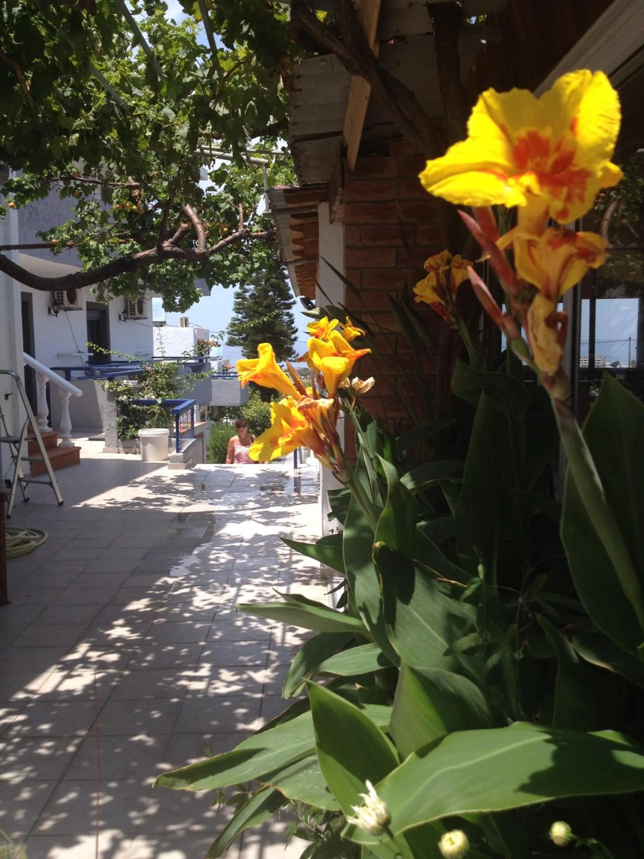 Other in Villa Marina