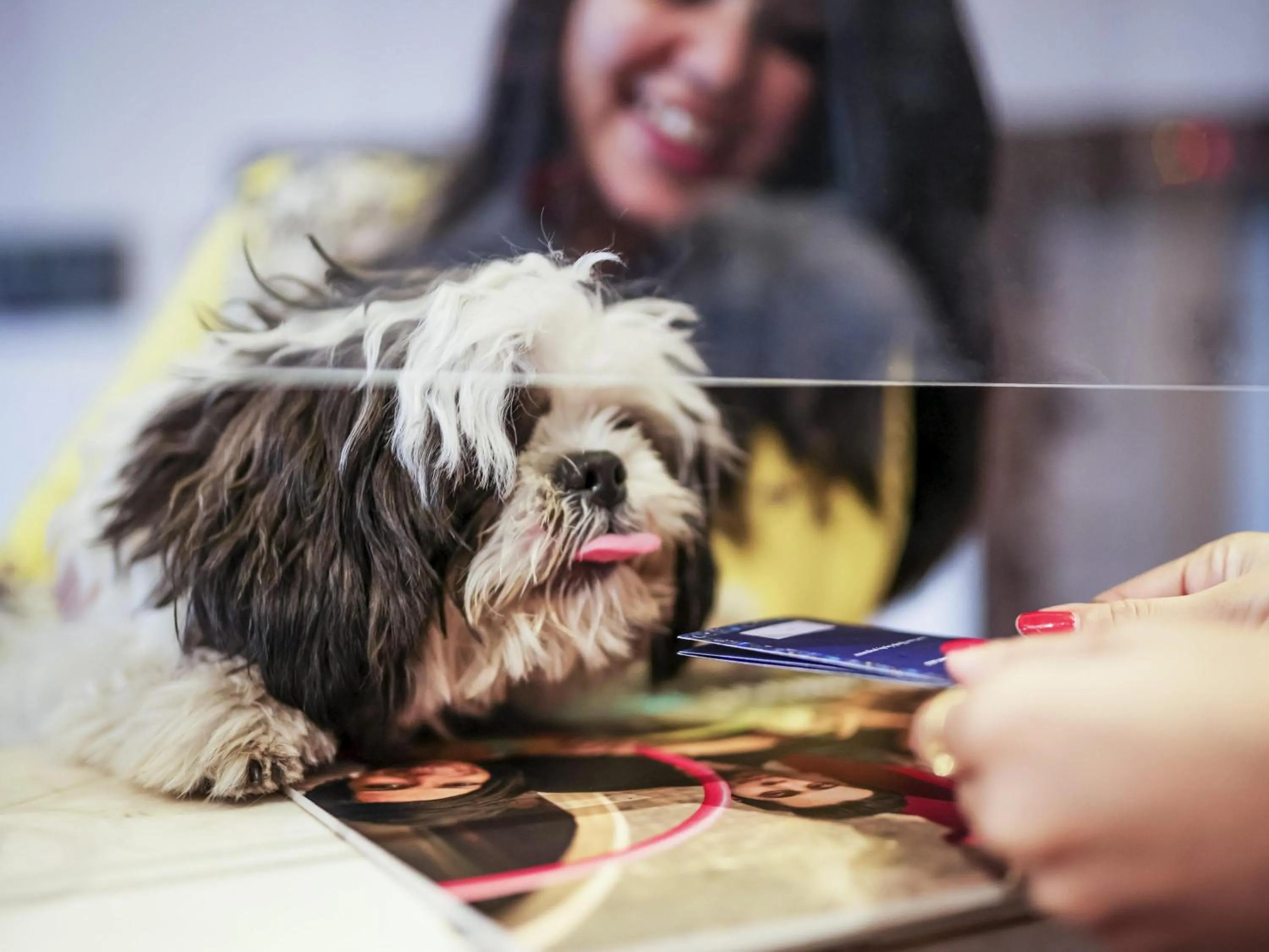 Other in ibis Bengaluru Outer Ring Road