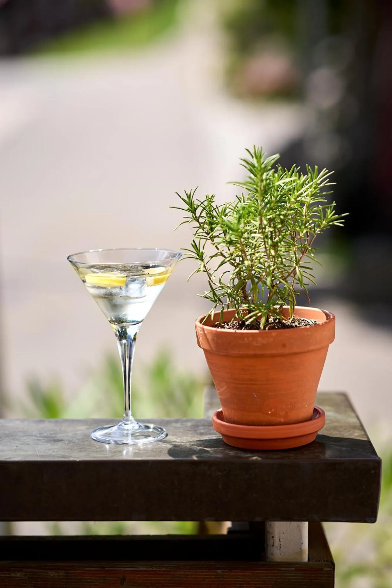 Restaurant/places to eat in Hotel Tradizio