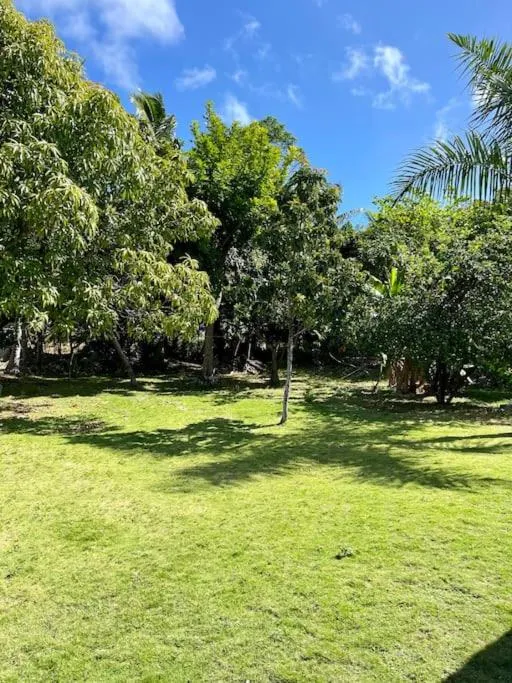 Garden view in Dawson’s Hideaway