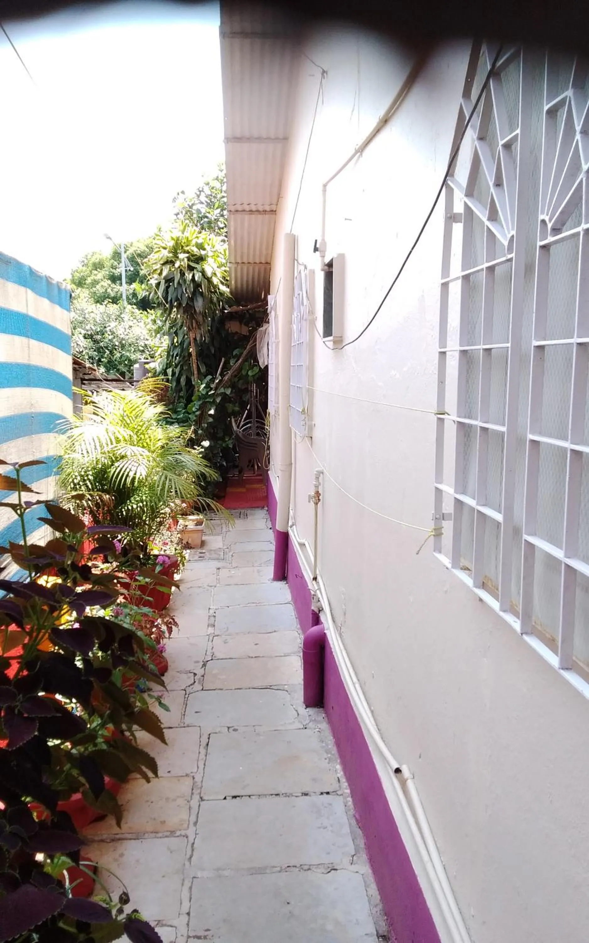 Garden view in Om Datta Krupa Niwas Cottage