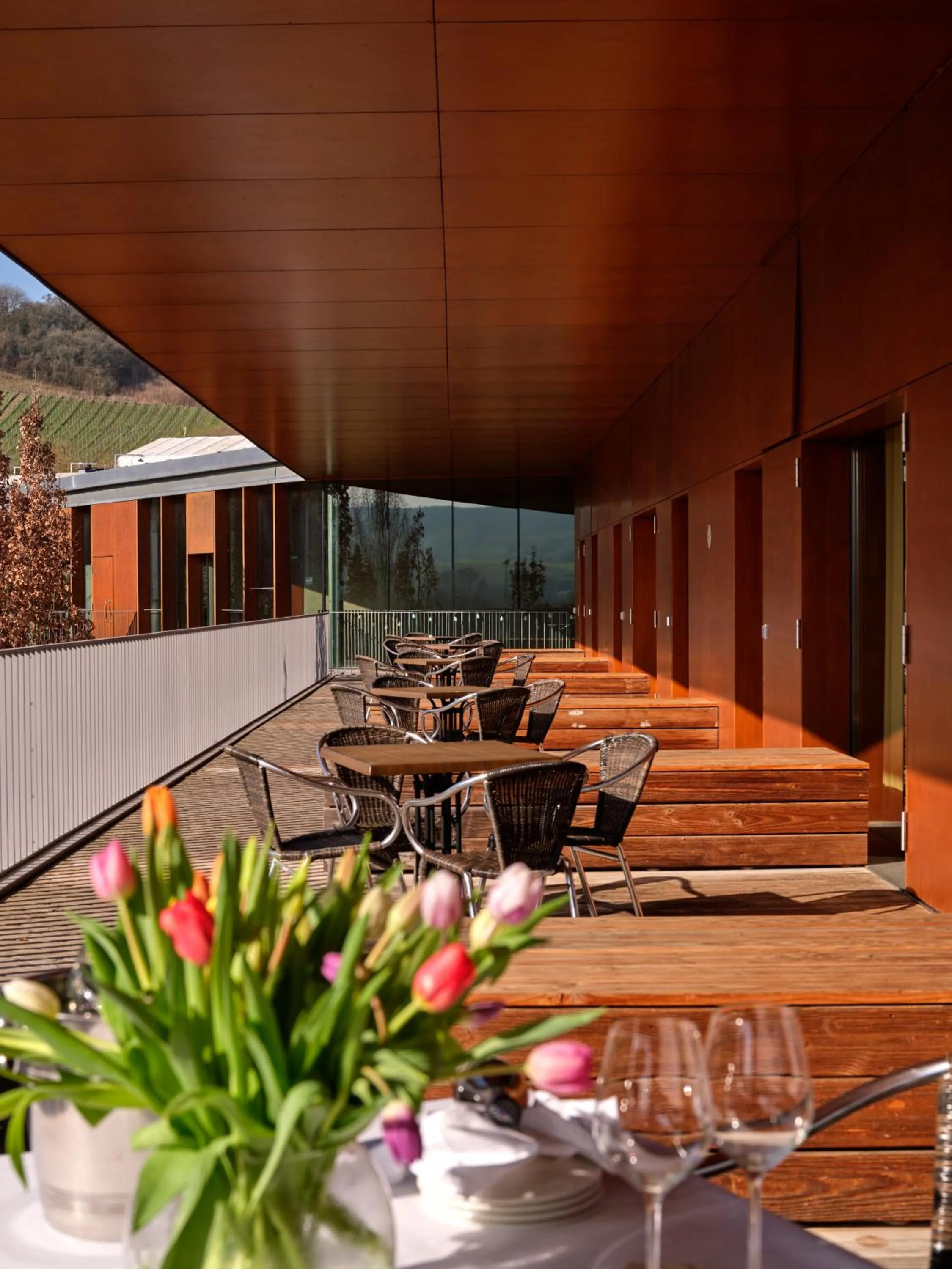 Balcony/Terrace in Youth Hostel Schengen / Remerschen