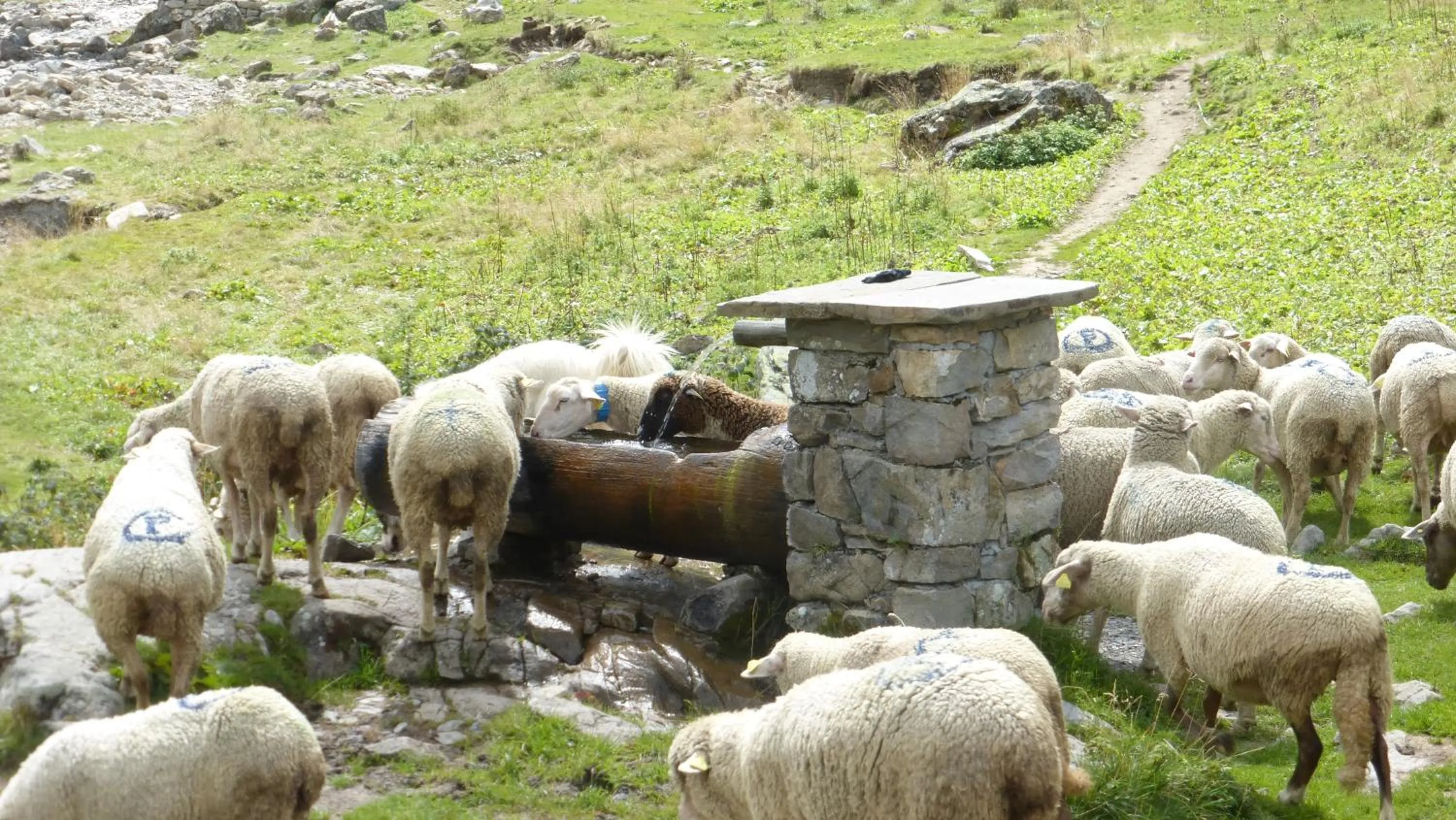 Résidence Les Ecrins