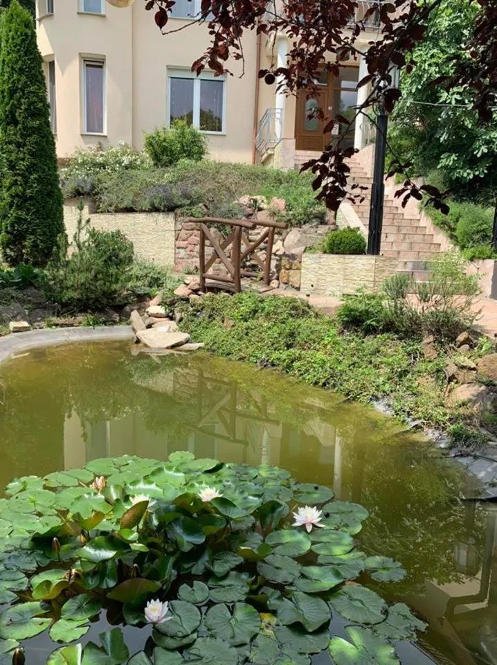 Garden in Villamerica