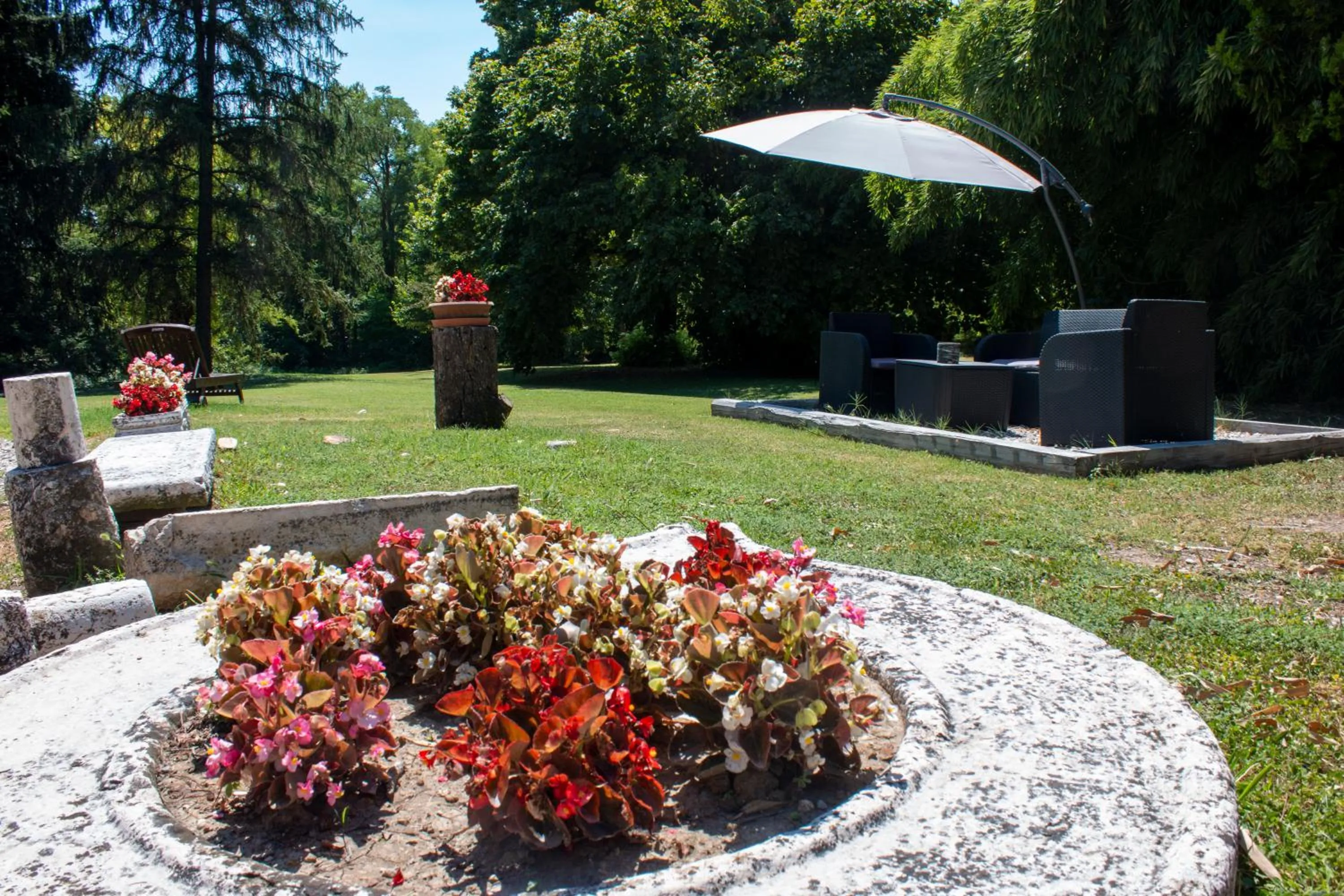 Garden in B&B Casa Manuela