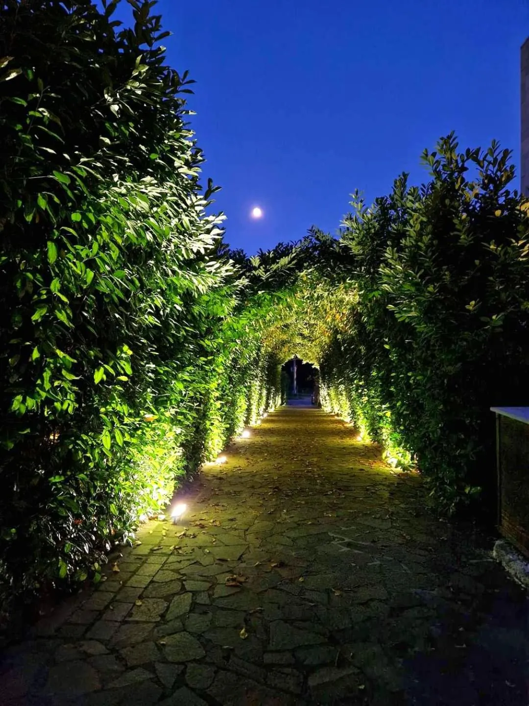 Garden in Sotto Il Cielo Hotel