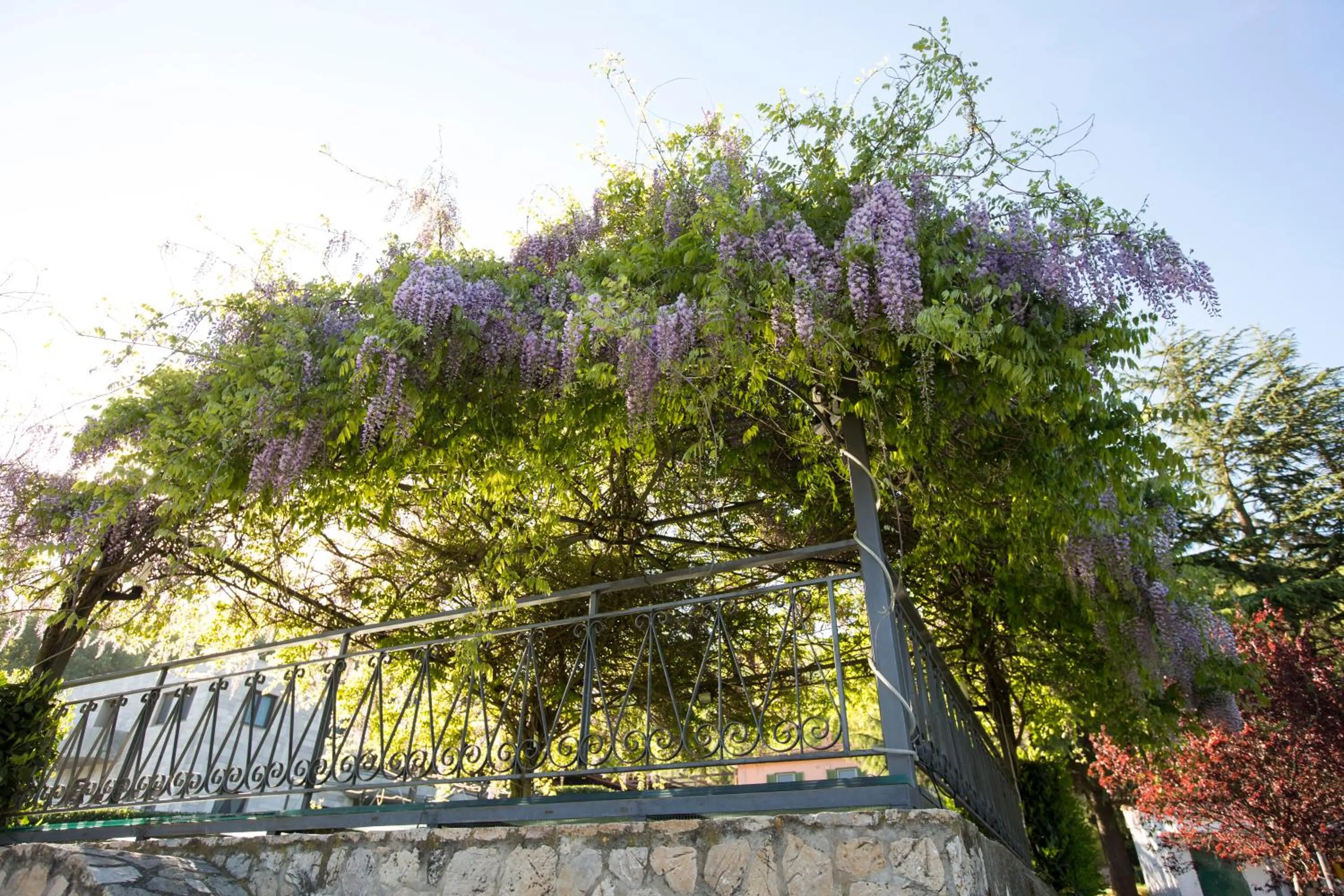 Natural landscape in Sotto Il Cielo Hotel