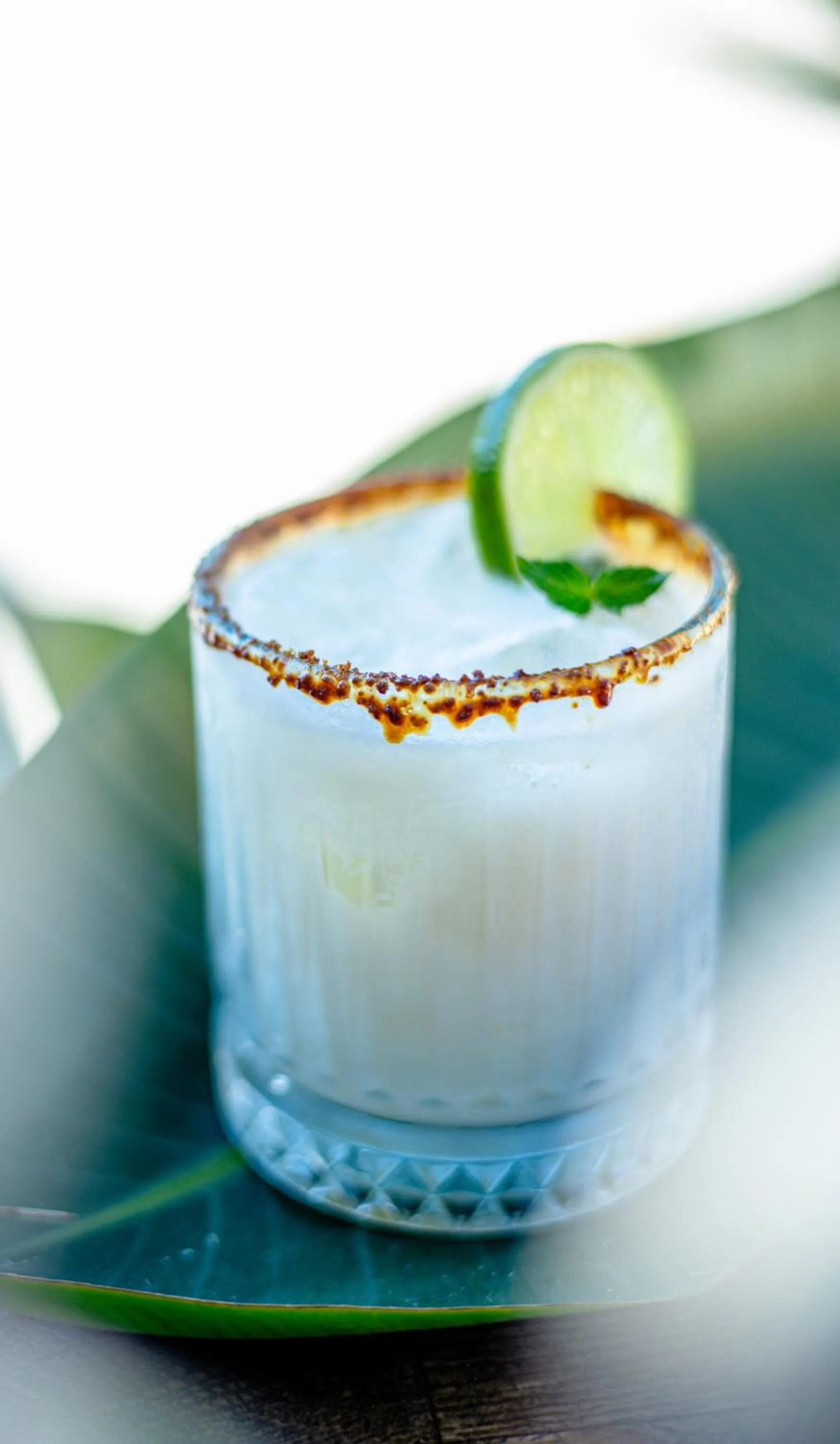 Food and drinks in Relax Sozopol