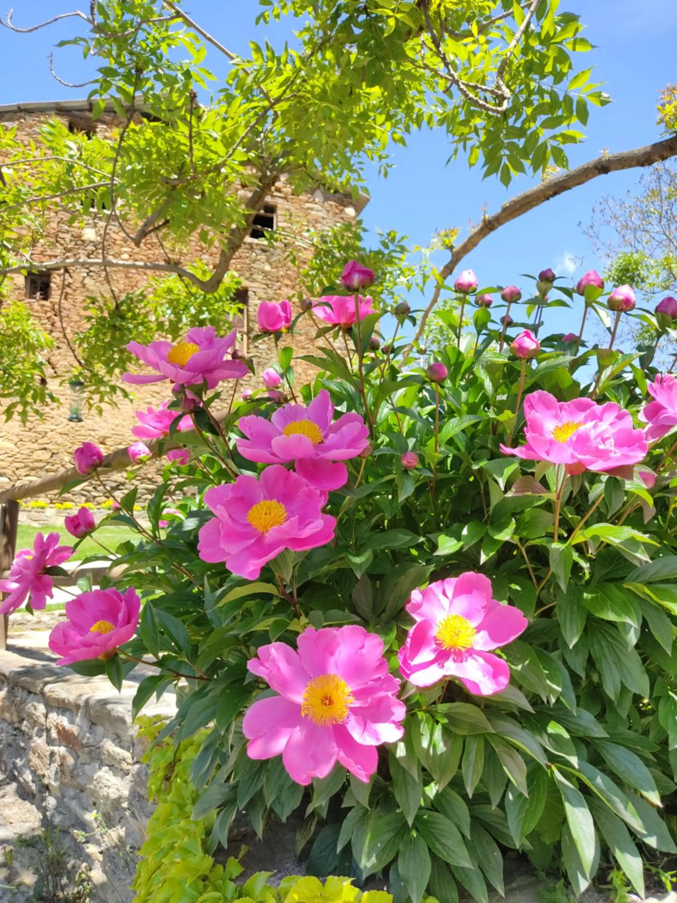 Property building in Mas D'en Roqueta