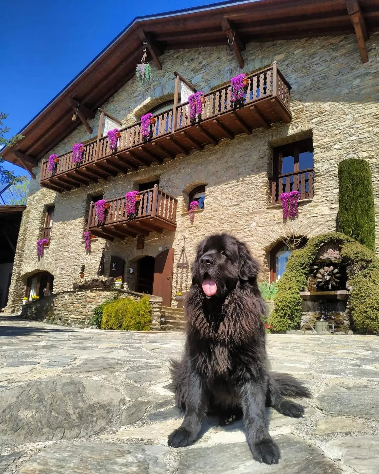 Property building in Mas D'en Roqueta