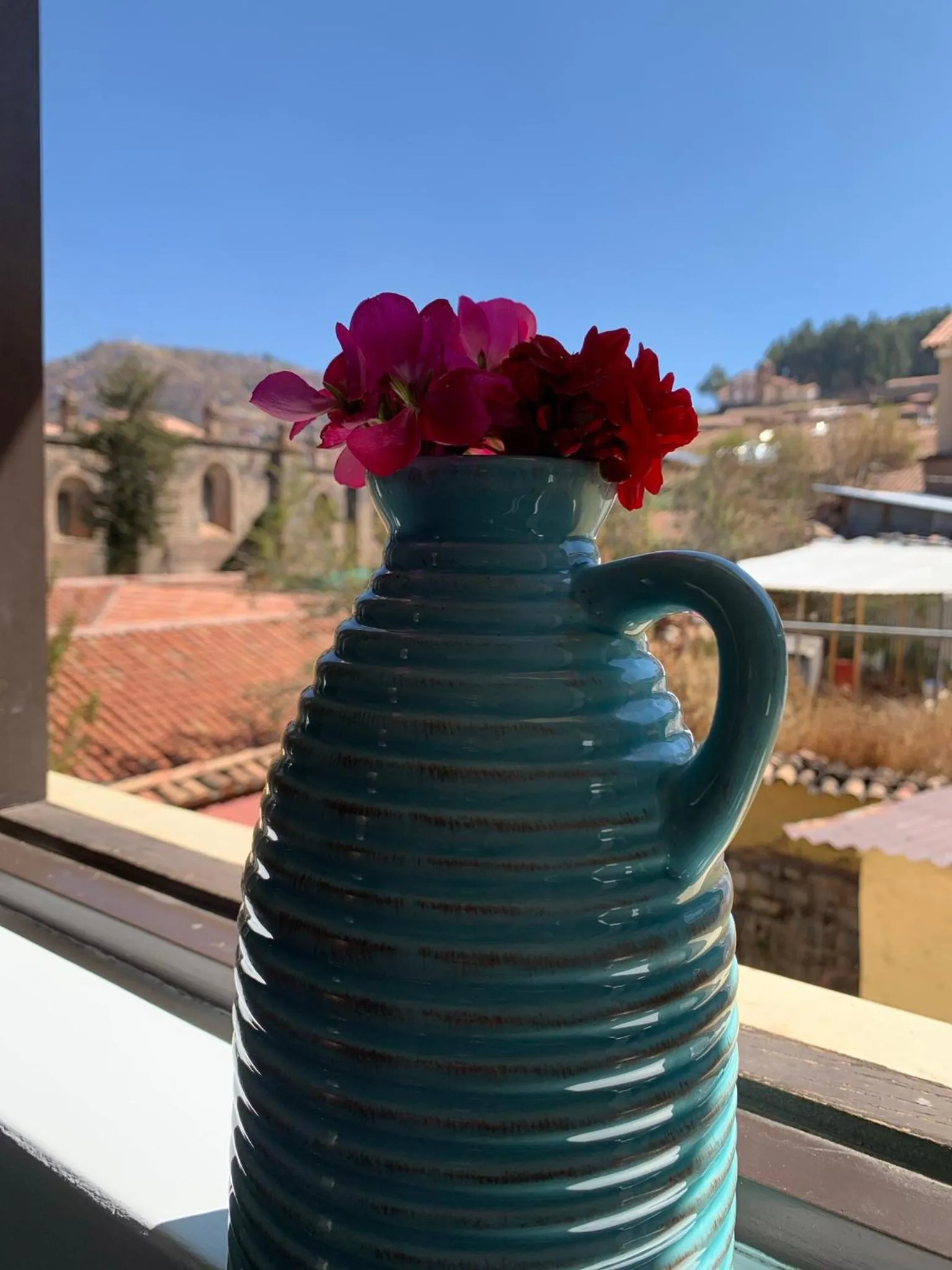 Natural landscape in Hostal & Apartments El Triunfo