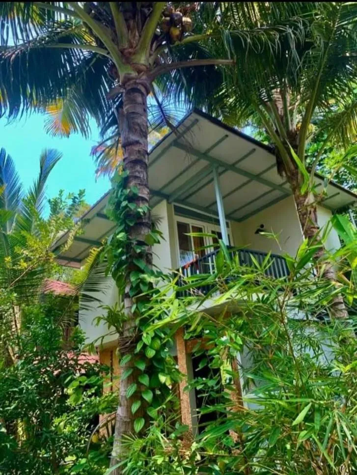Lakefront Beach Homes
