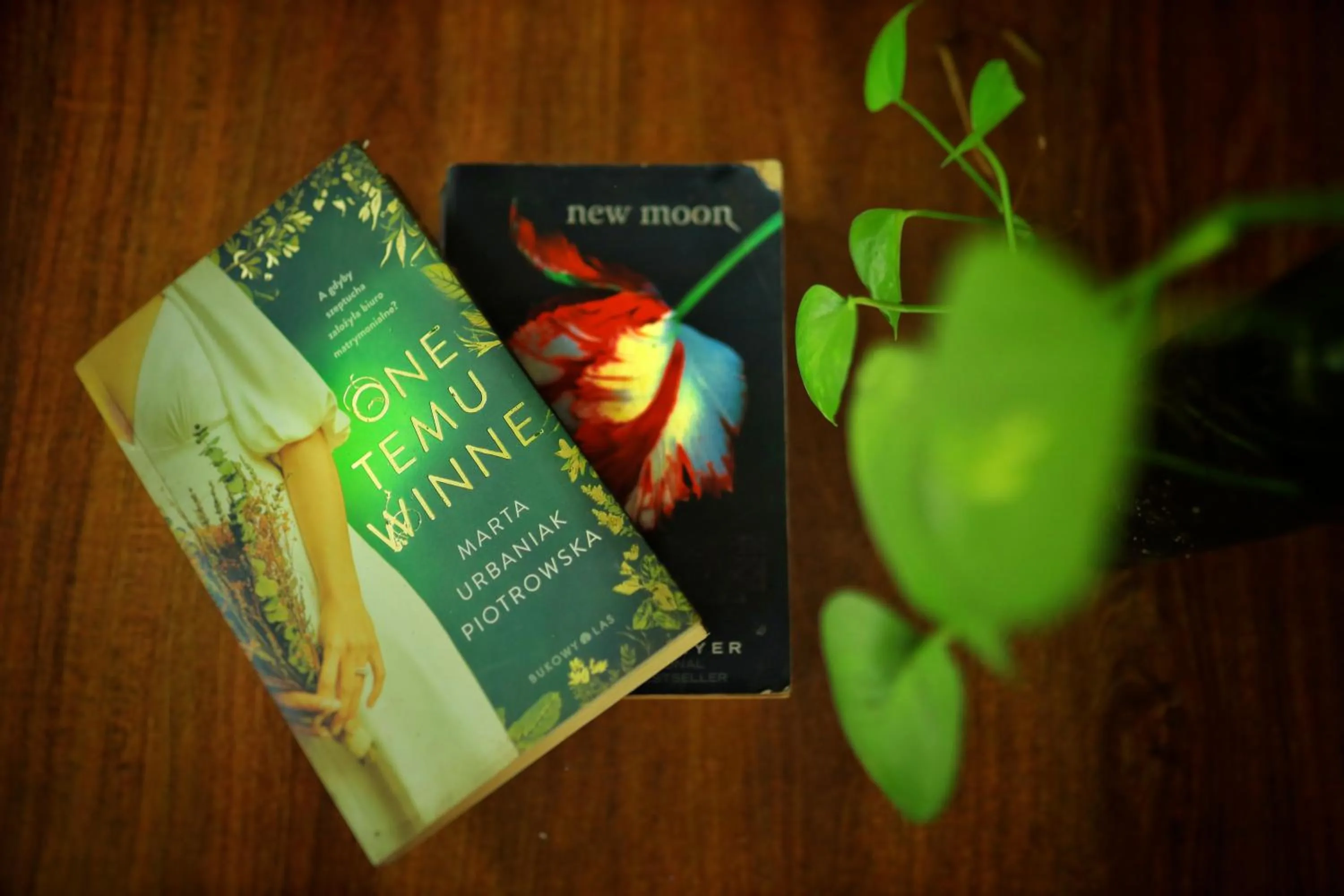 Lakefront Beach Homes