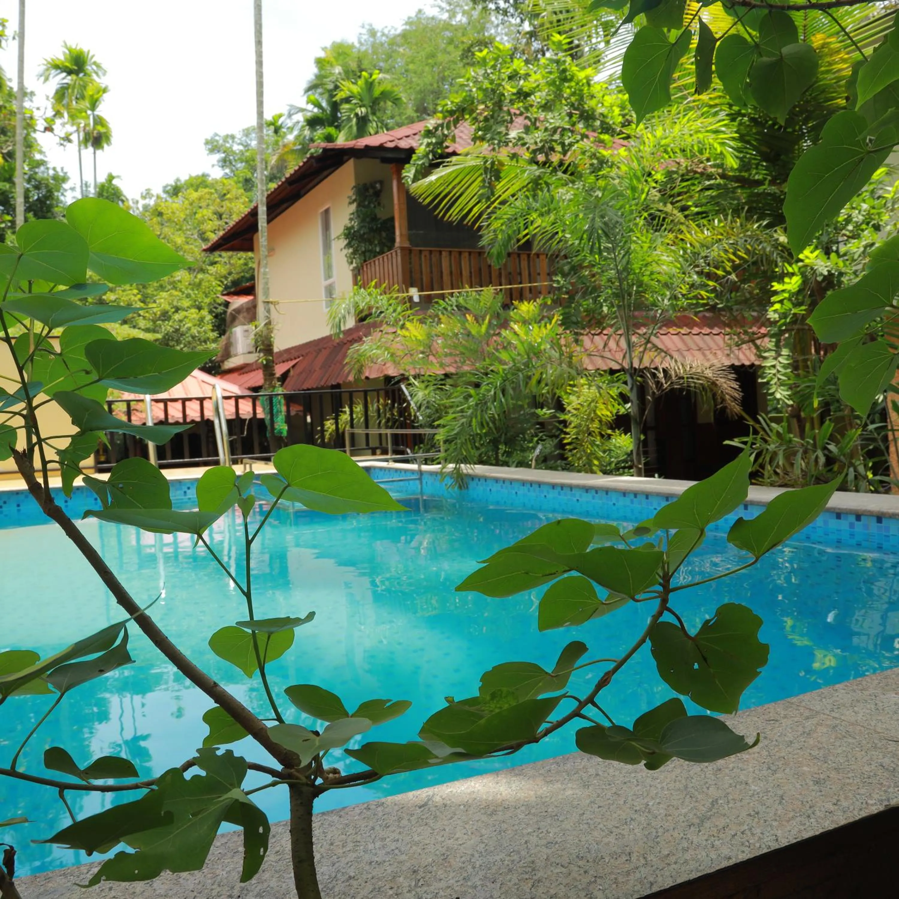 Lakefront Beach Homes