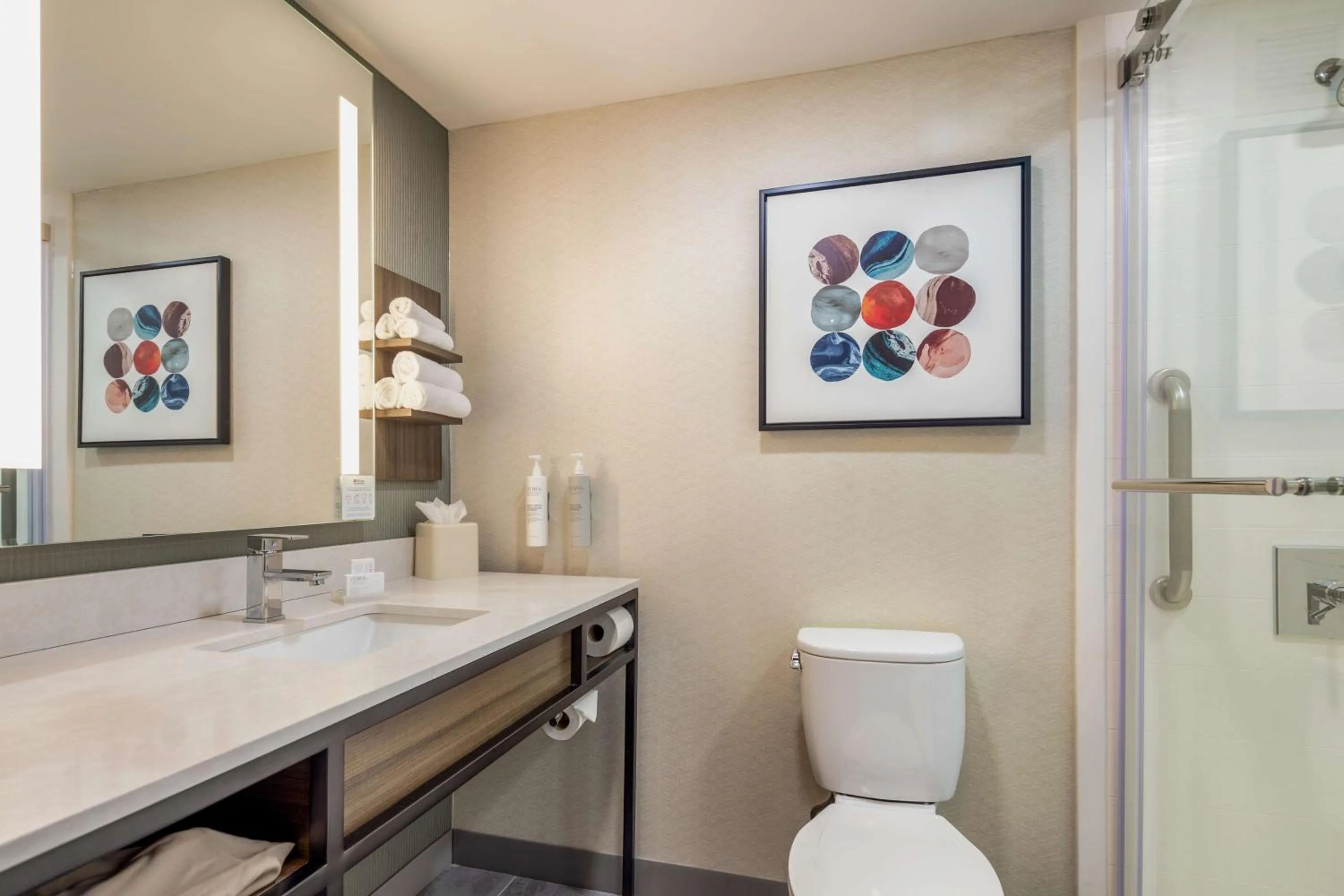 Bathroom in Hilton Garden Inn Oakbrook Terrace