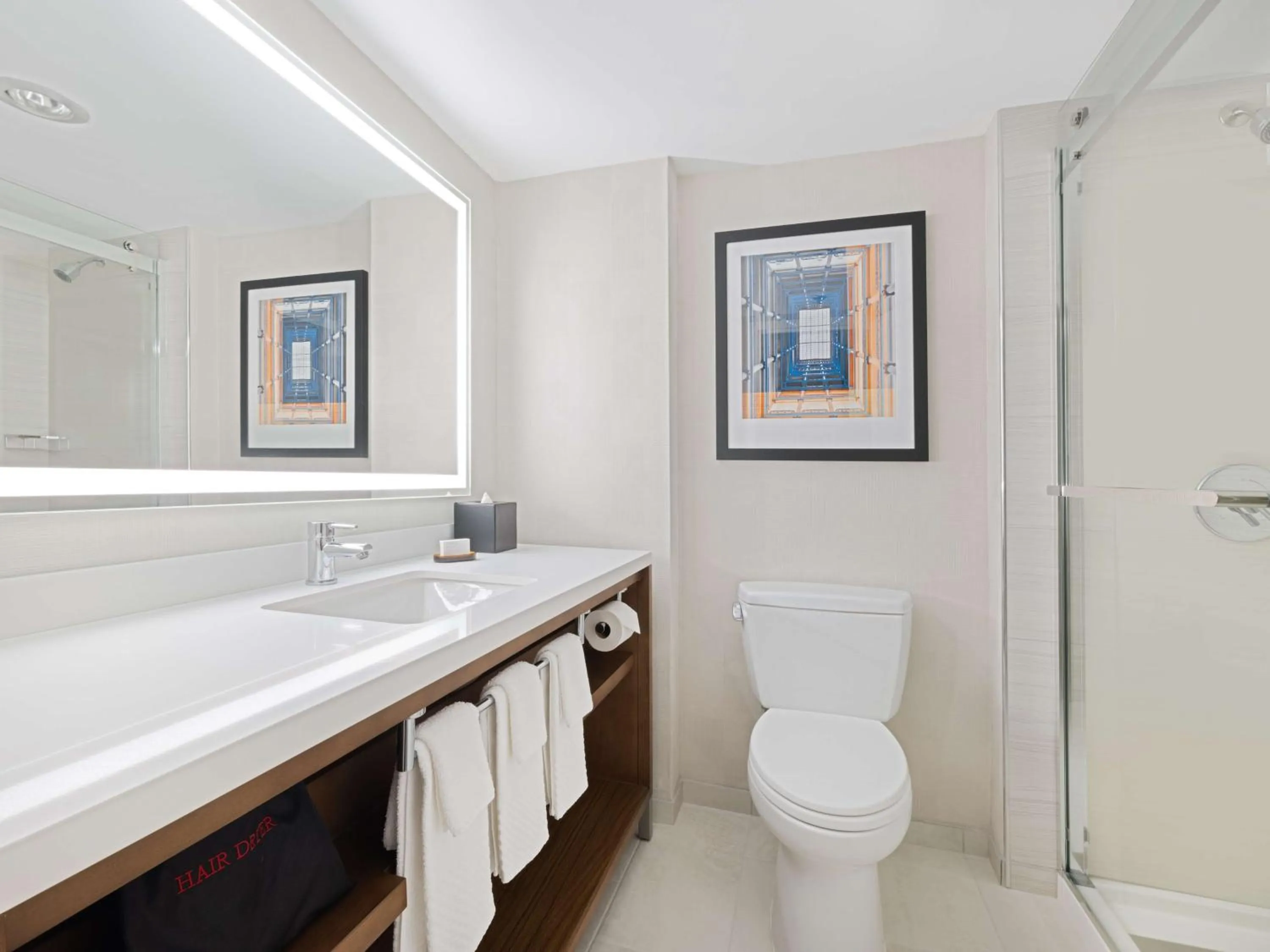 Toilet in Embassy Suites Chicago - Downtown River North