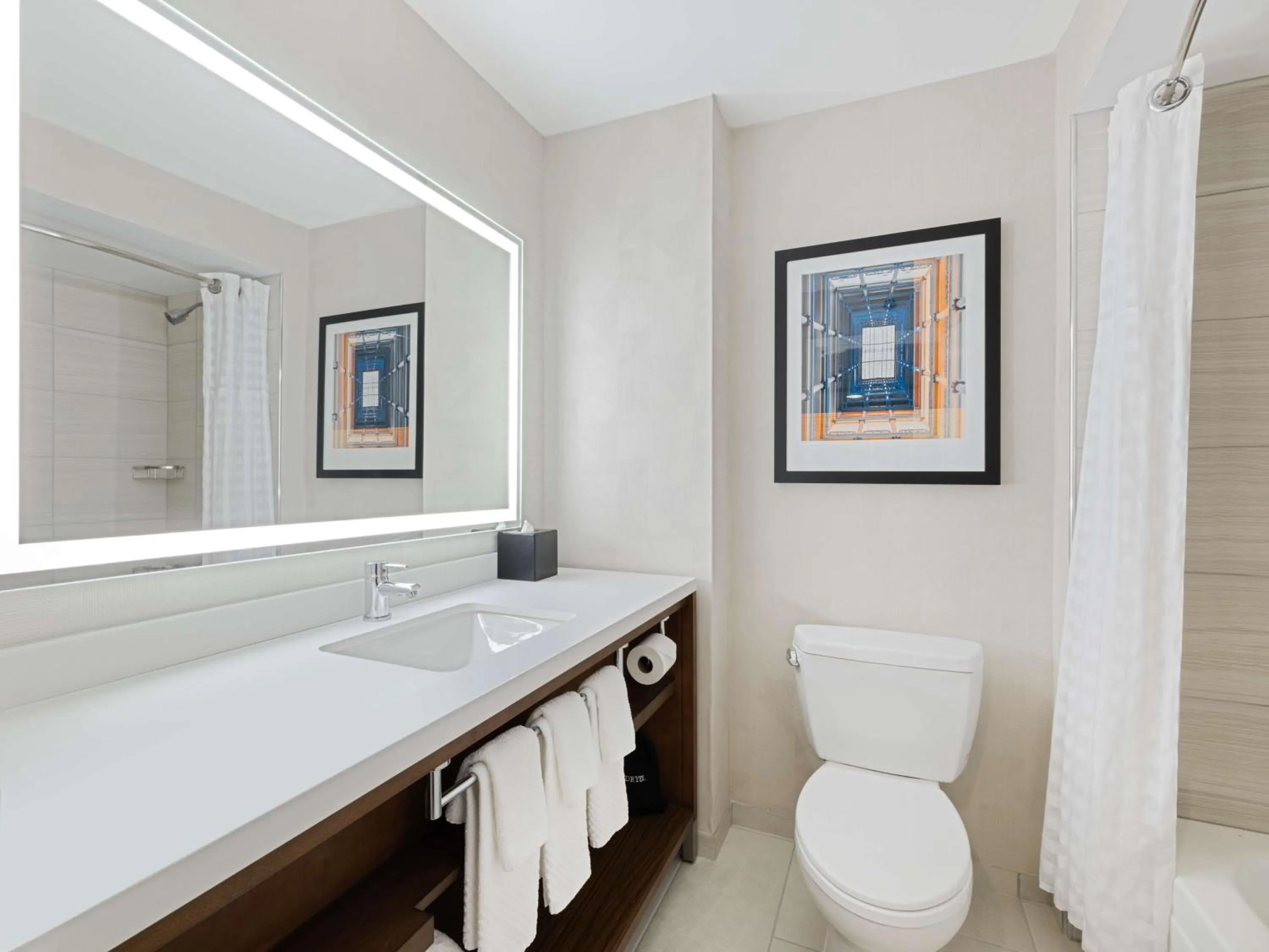 Toilet in Embassy Suites Chicago - Downtown River North