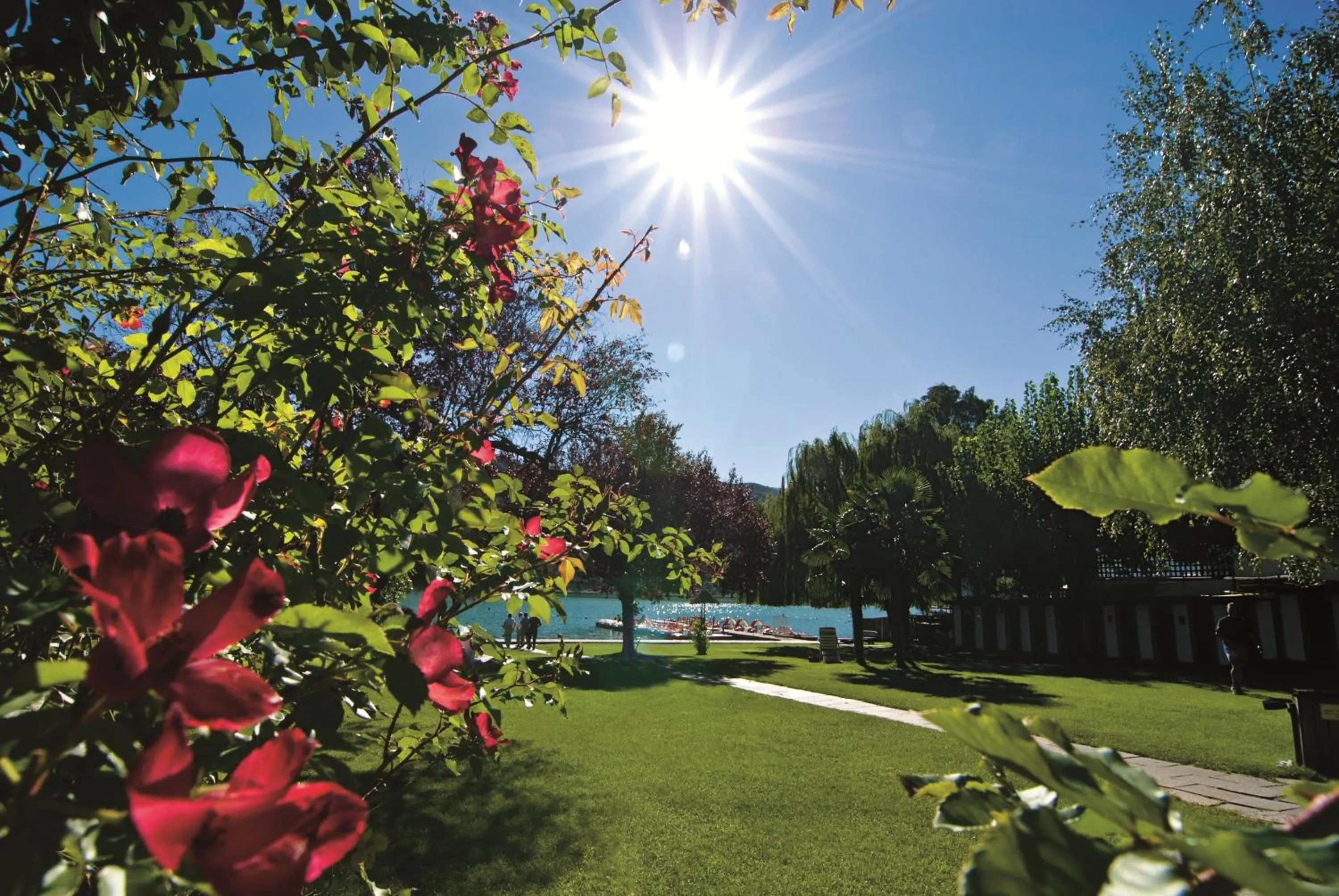 Communal lounge/ TV room in Seegarten
