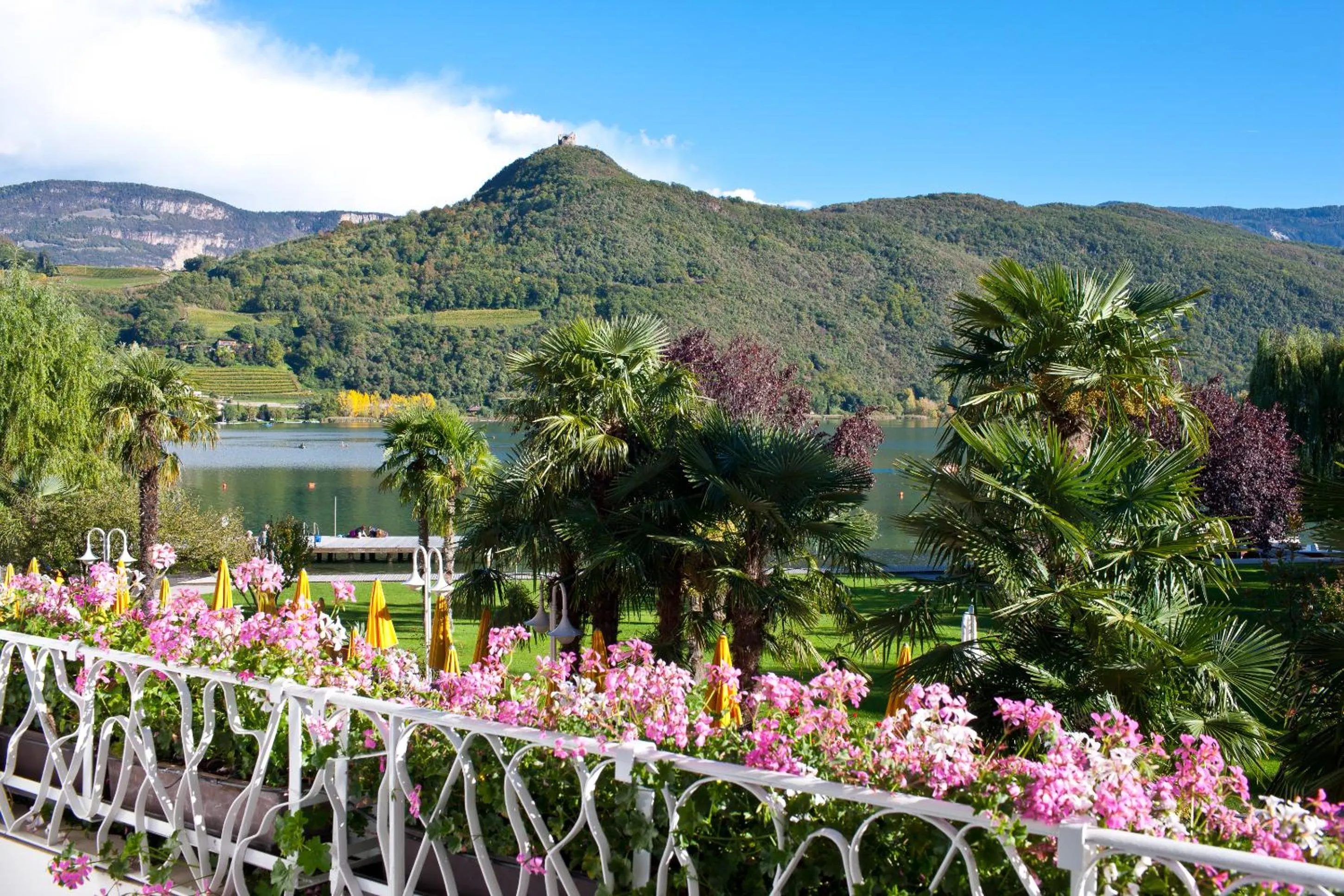 Natural landscape in Seegarten