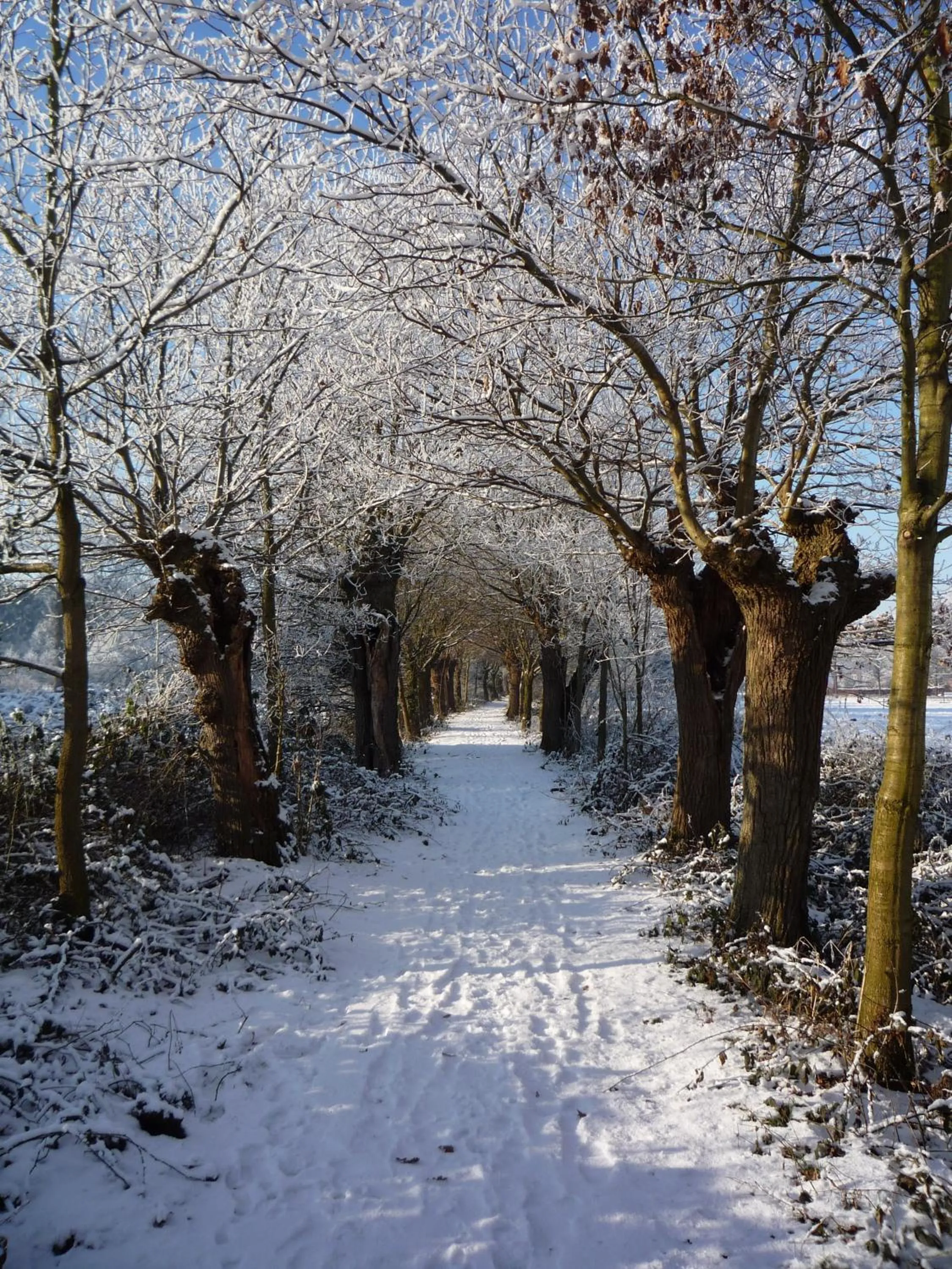 Day in Hotel Restaurant Kloppendiek