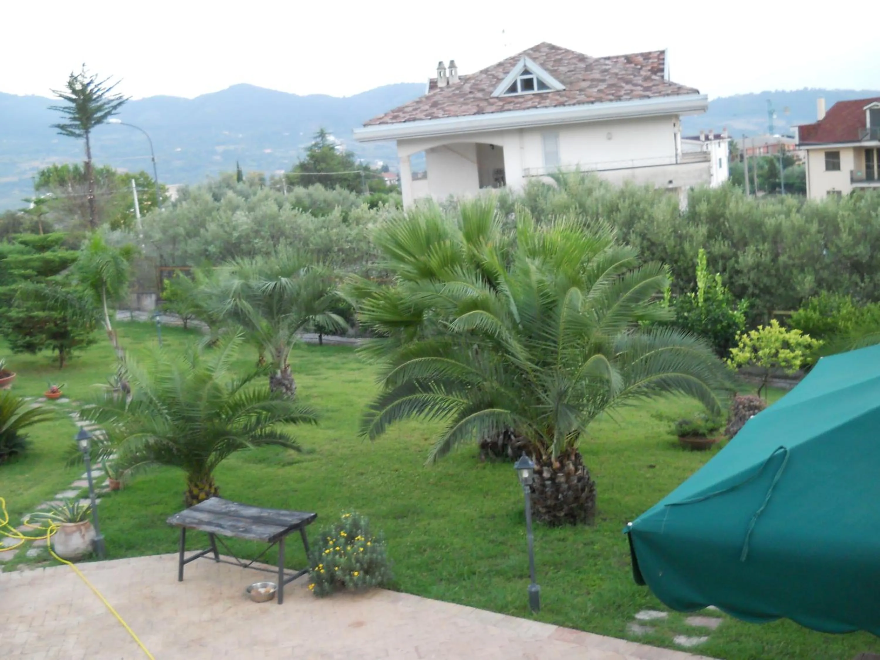 Swimming pool in Oasi Verde