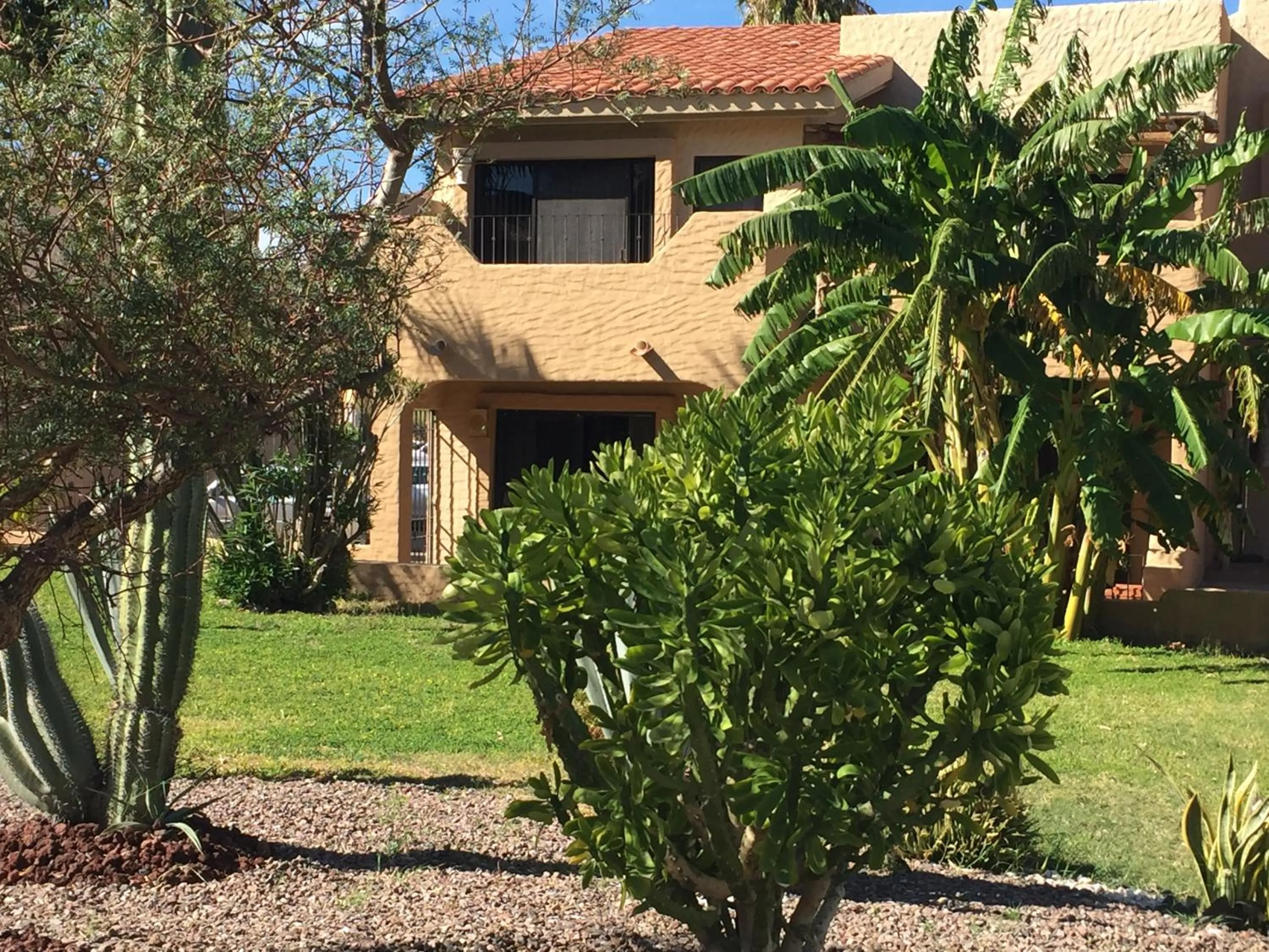 Garden in Villa en Marinaterra en seguida de Marina San Carlos