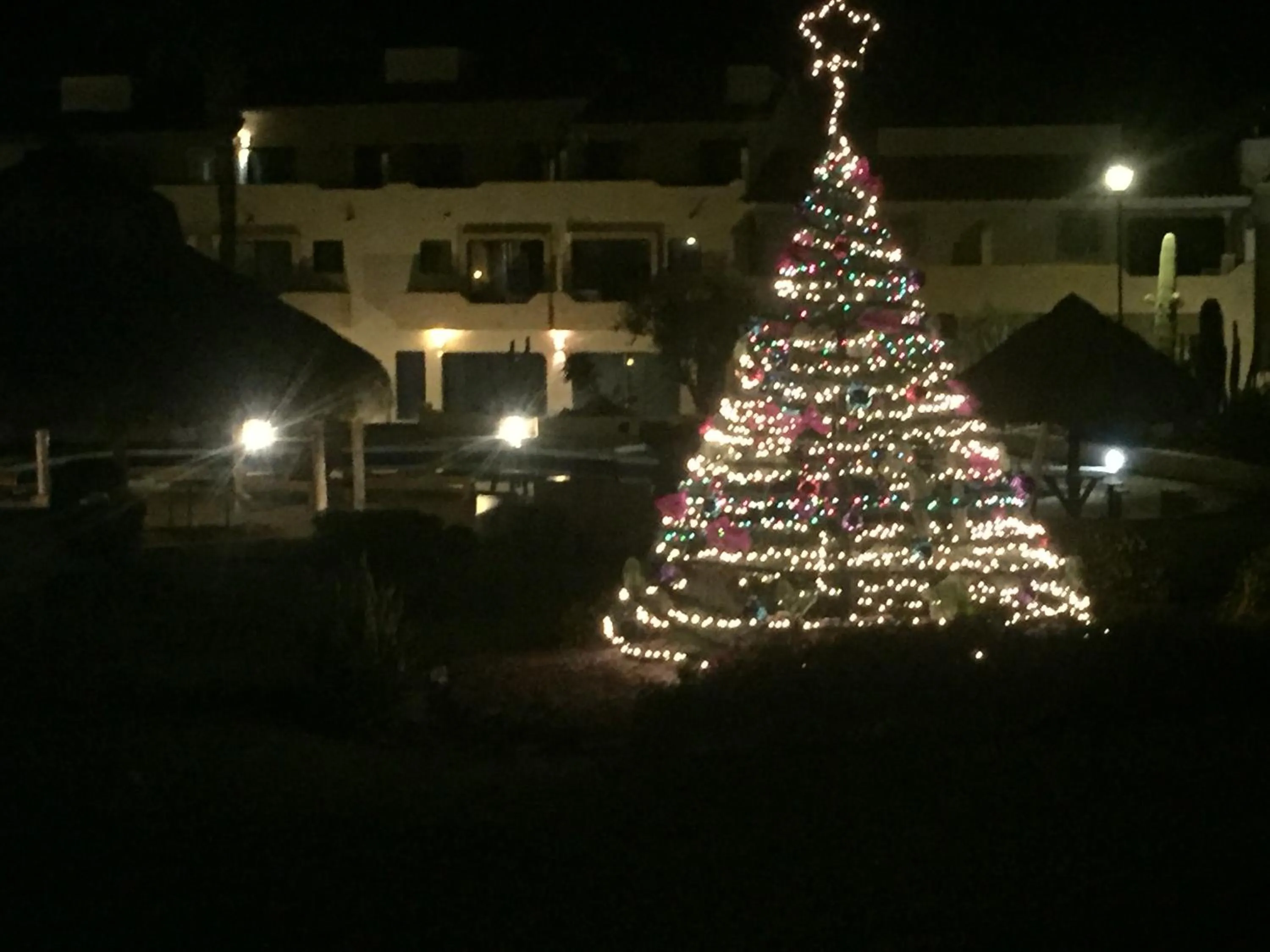 Night in Villa en Marinaterra en seguida de Marina San Carlos