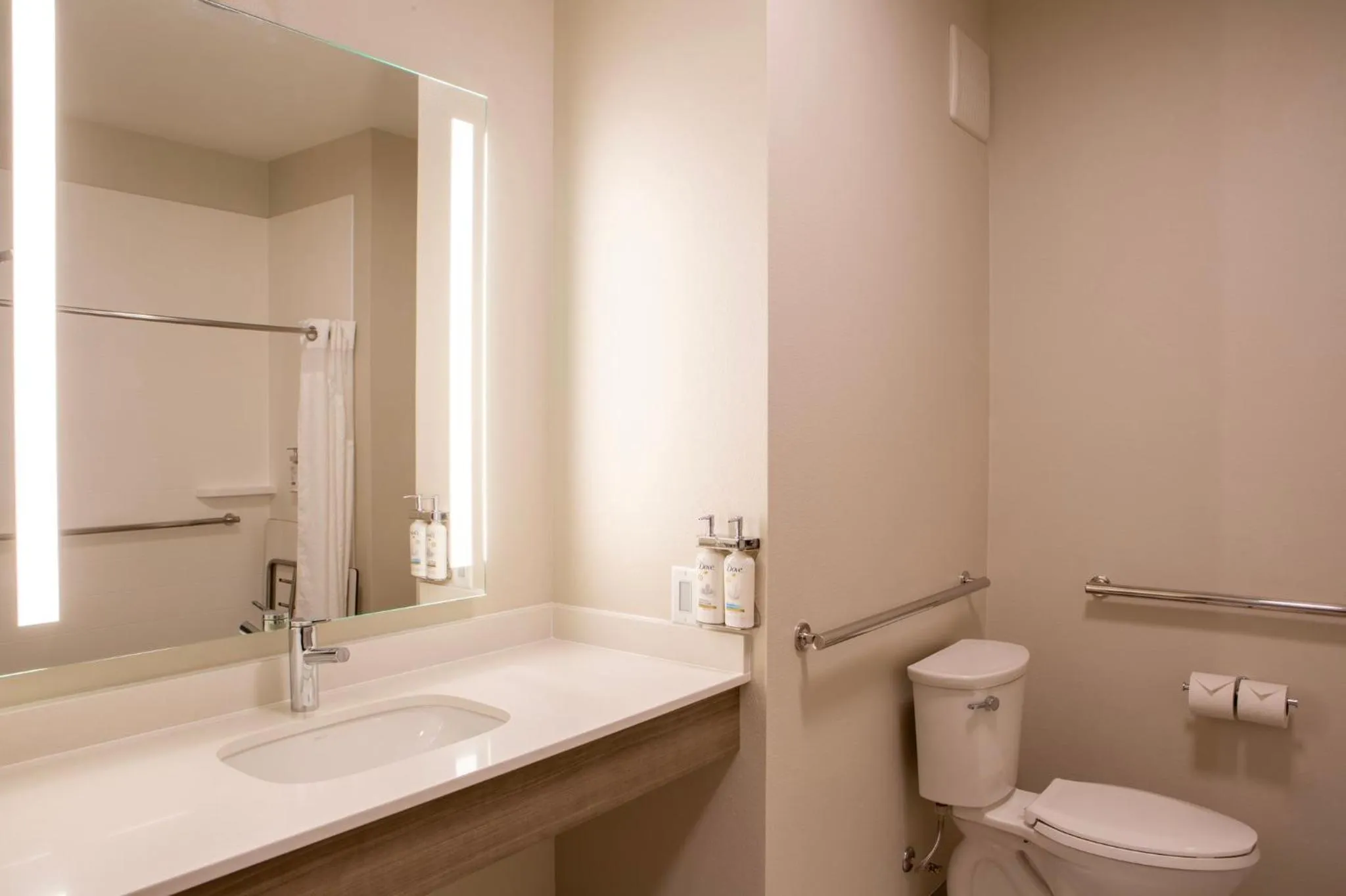 Bathroom in Holiday Inn Express & Suites Sioux City-South by IHG