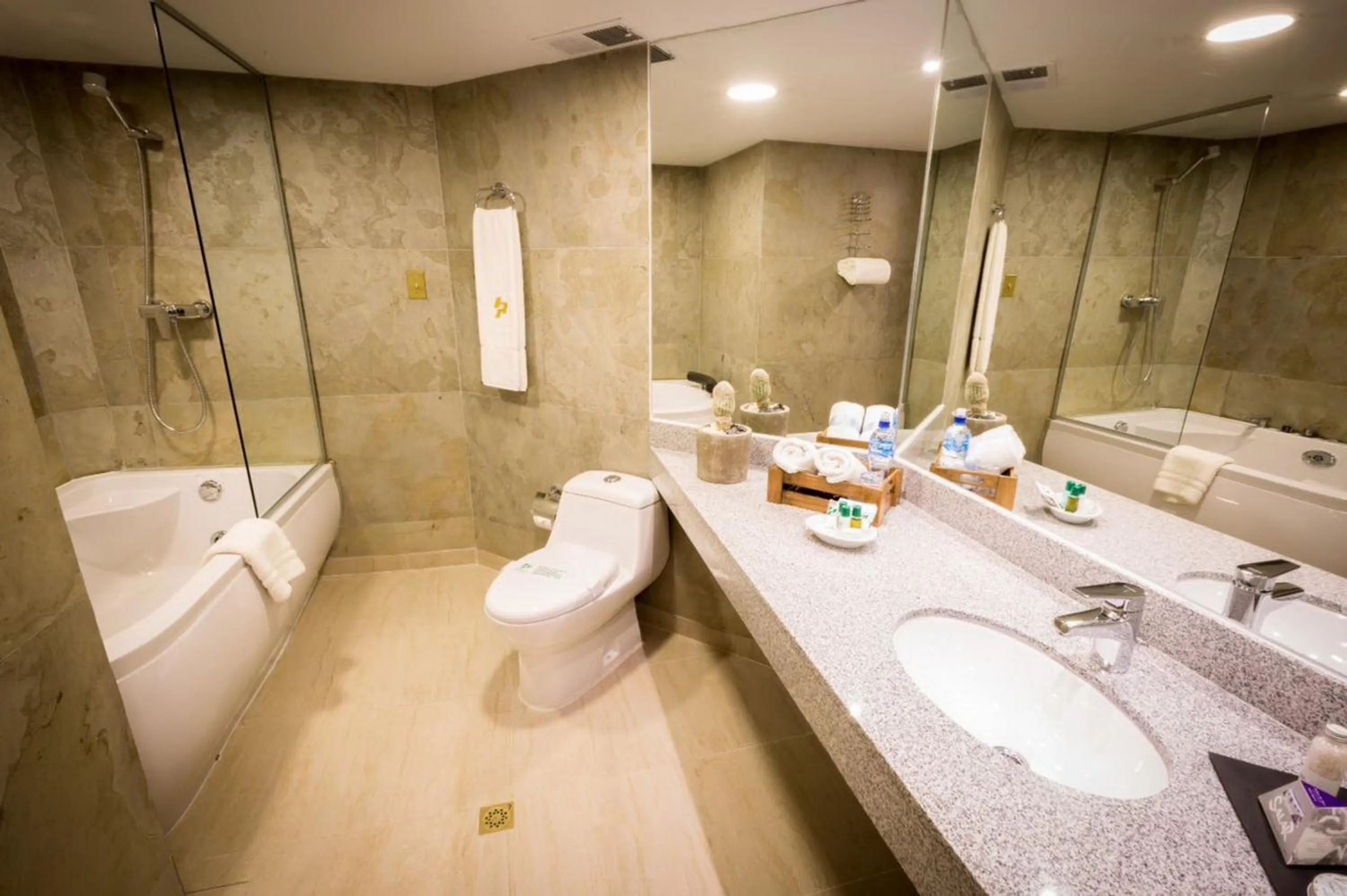 Bathroom in Hotel Presidente