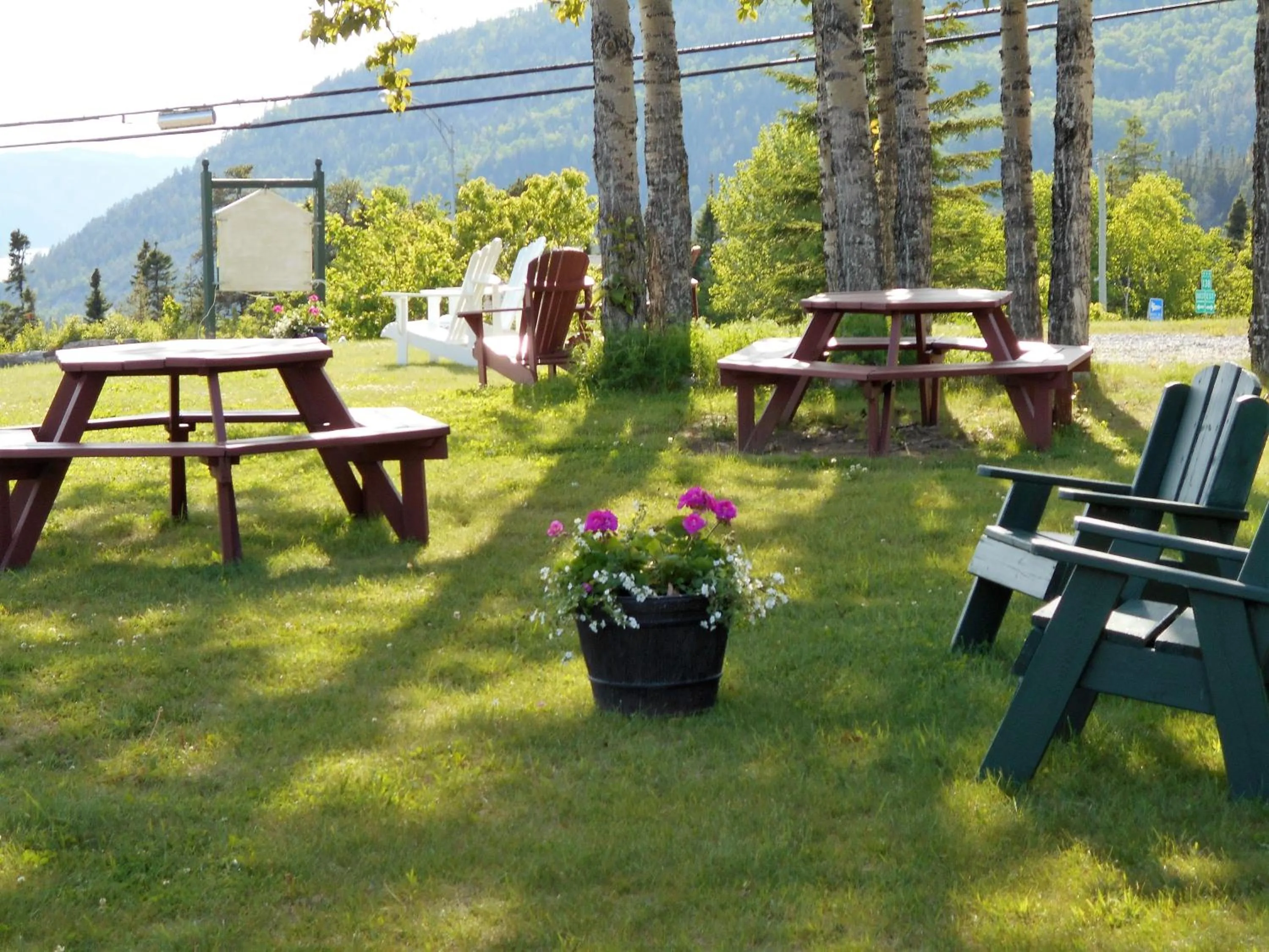 Garden in Hôtel Sous la Croix 152725