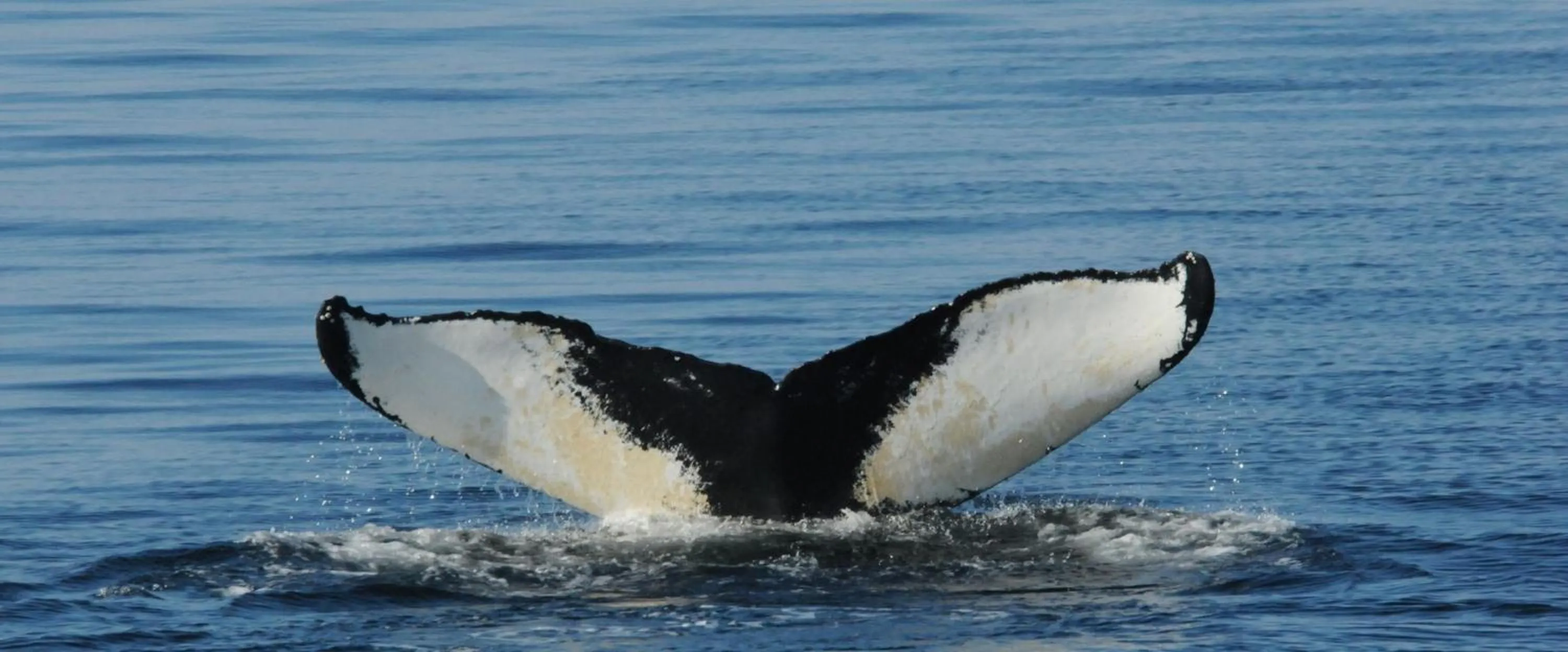 Activities in Hôtel Sous la Croix 152725