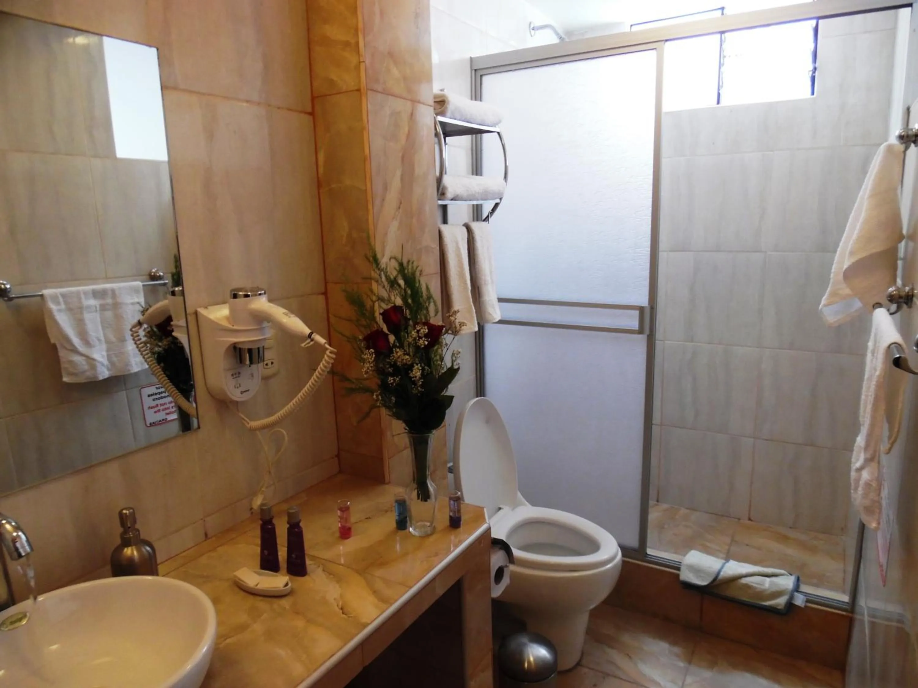 Bathroom in Hotel Puno Terra