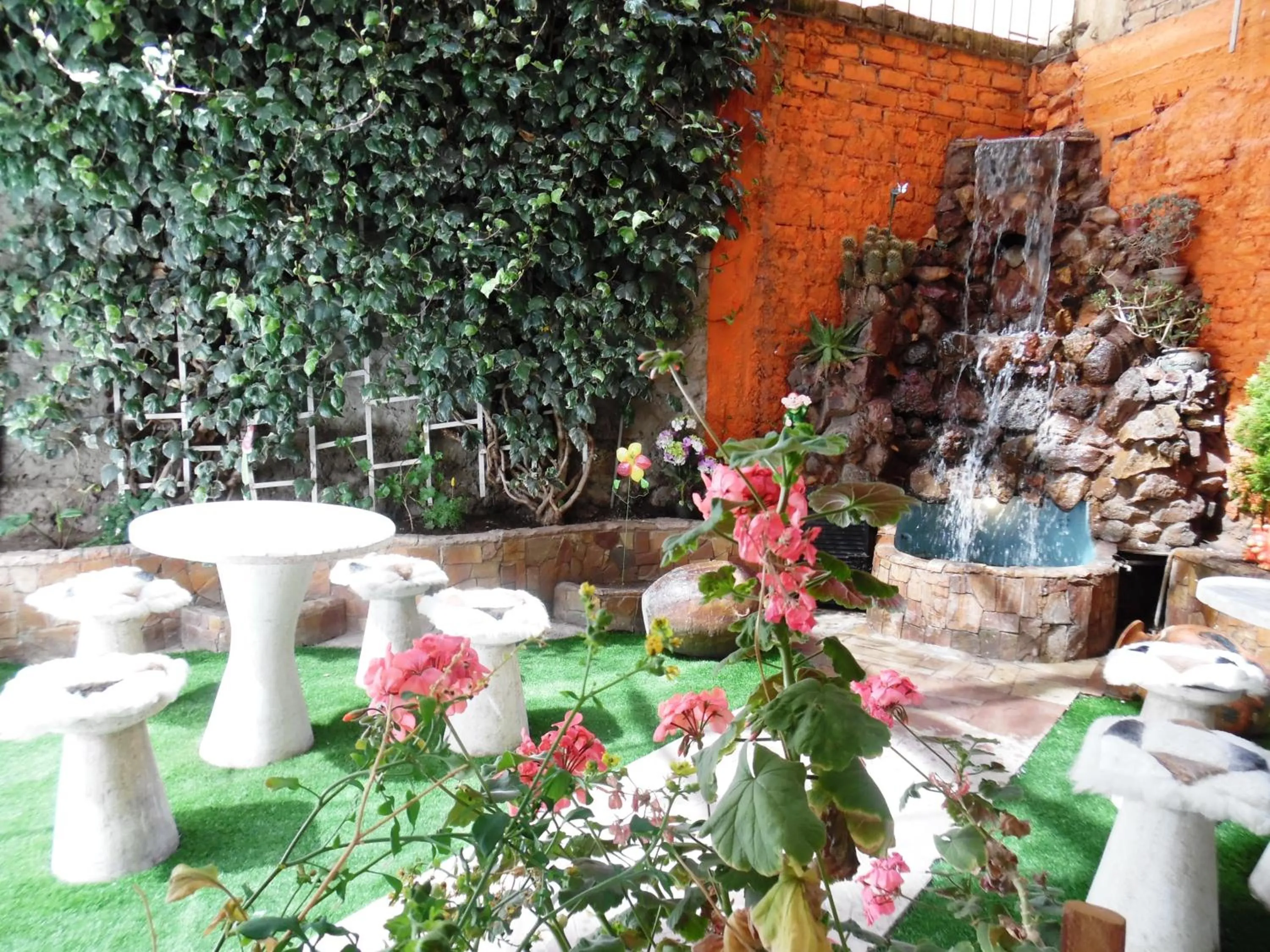 Restaurant/places to eat in Hotel Puno Terra