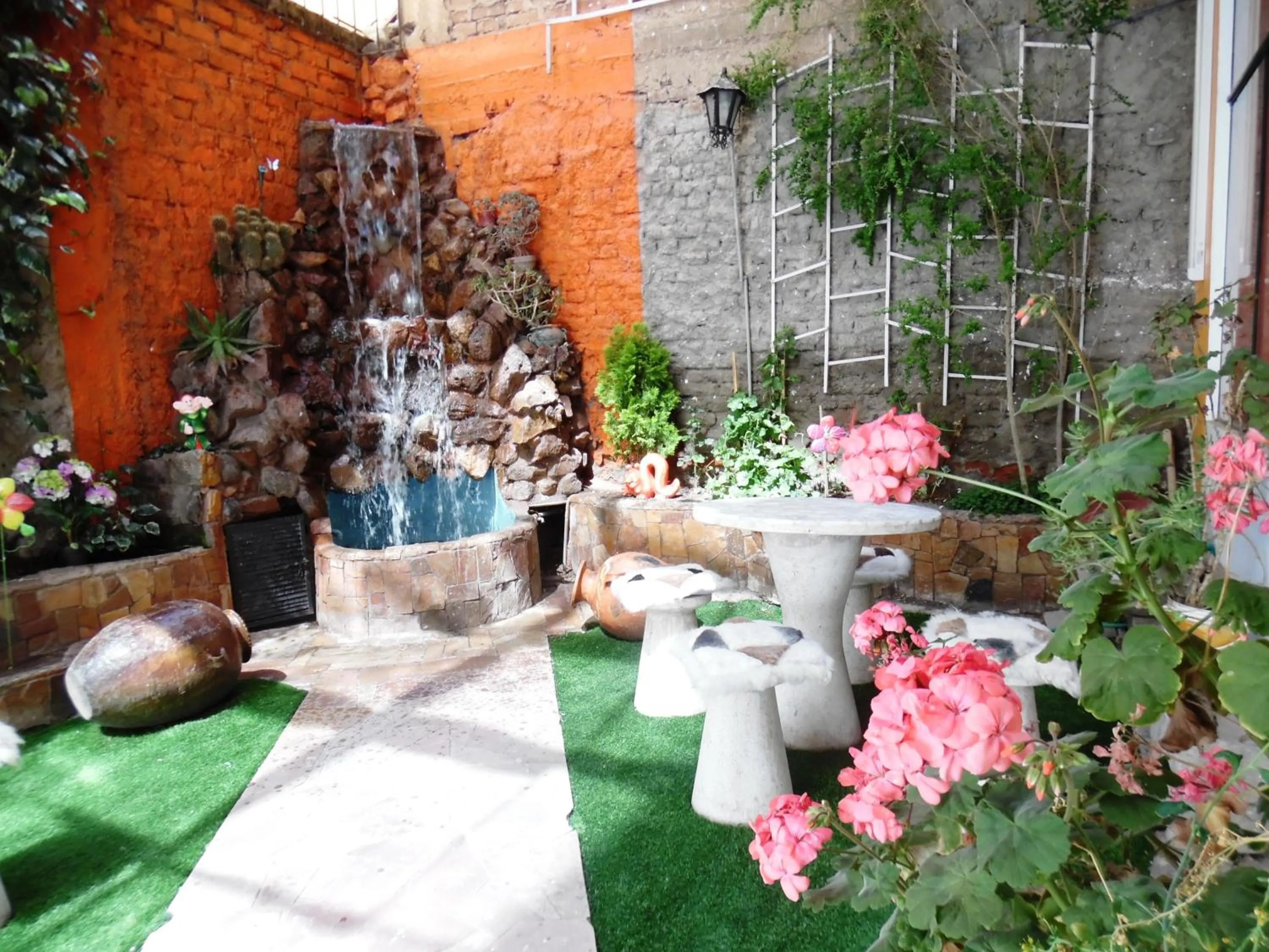 Garden in Hotel Puno Terra