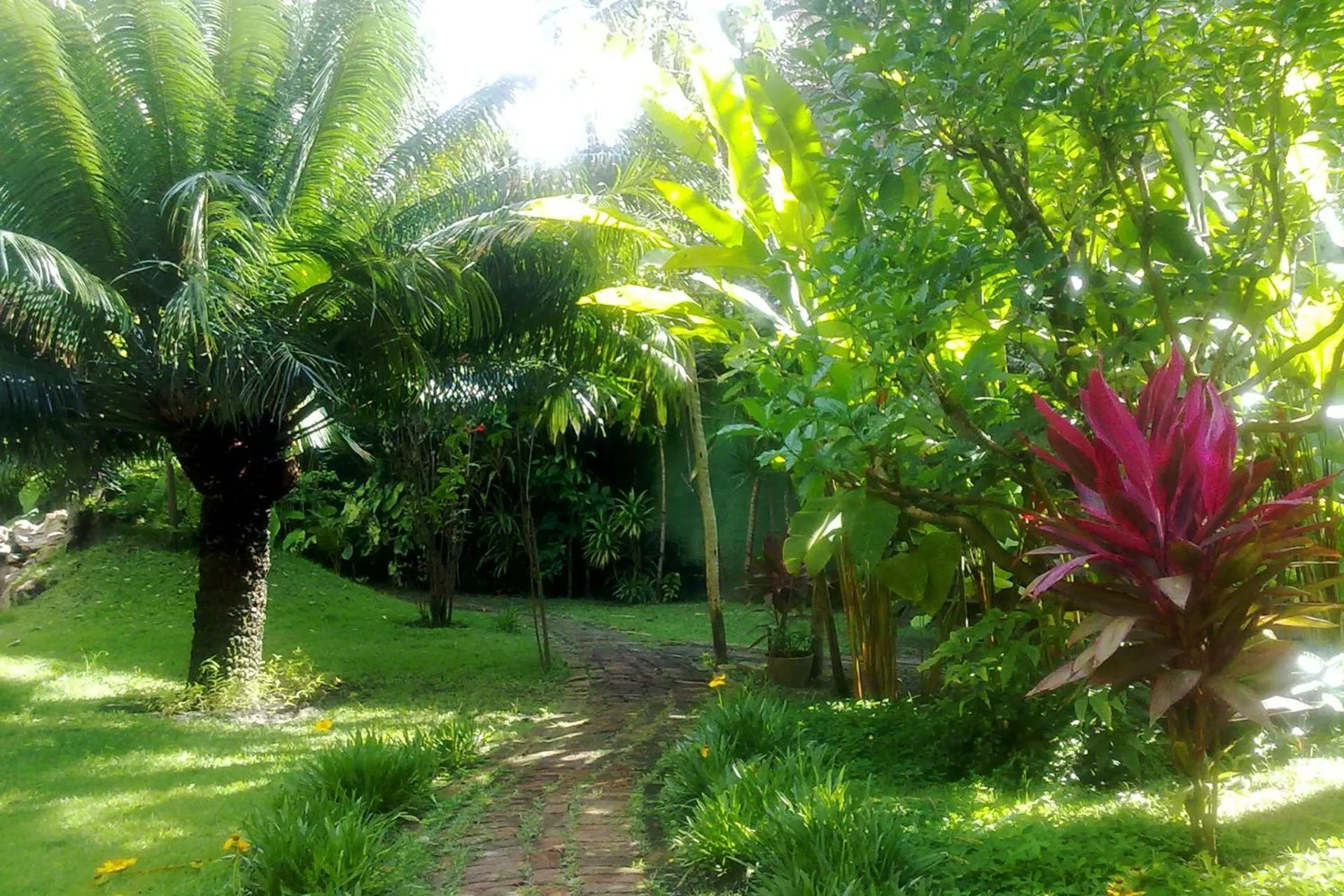 Garden in Pousada Dos Artistas