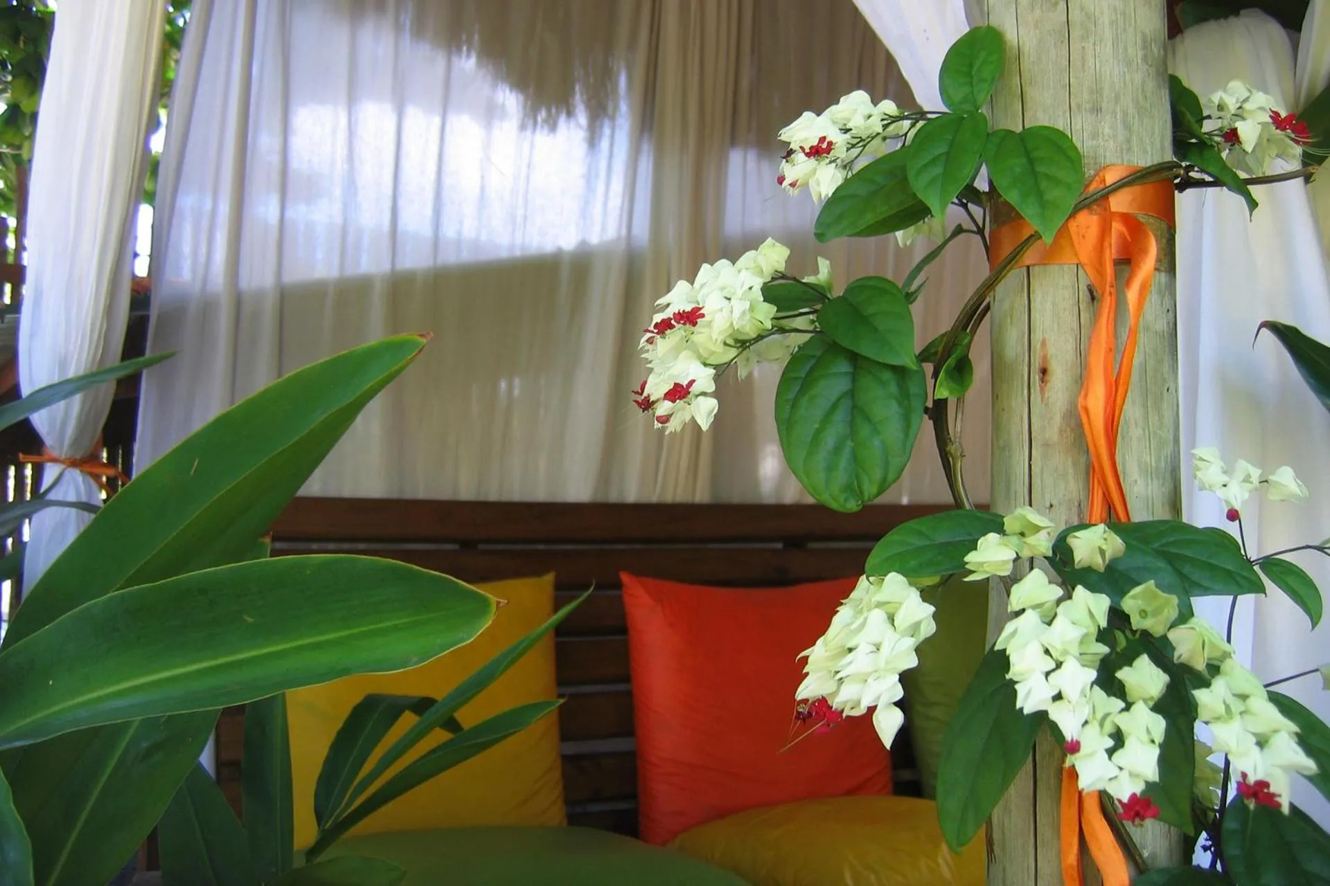 Decorative detail in Pousada Dos Artistas