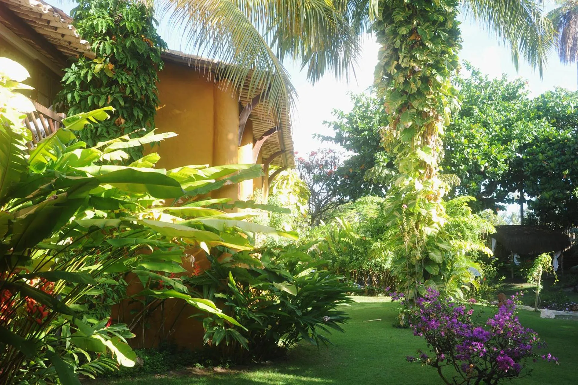 Garden in Pousada Dos Artistas