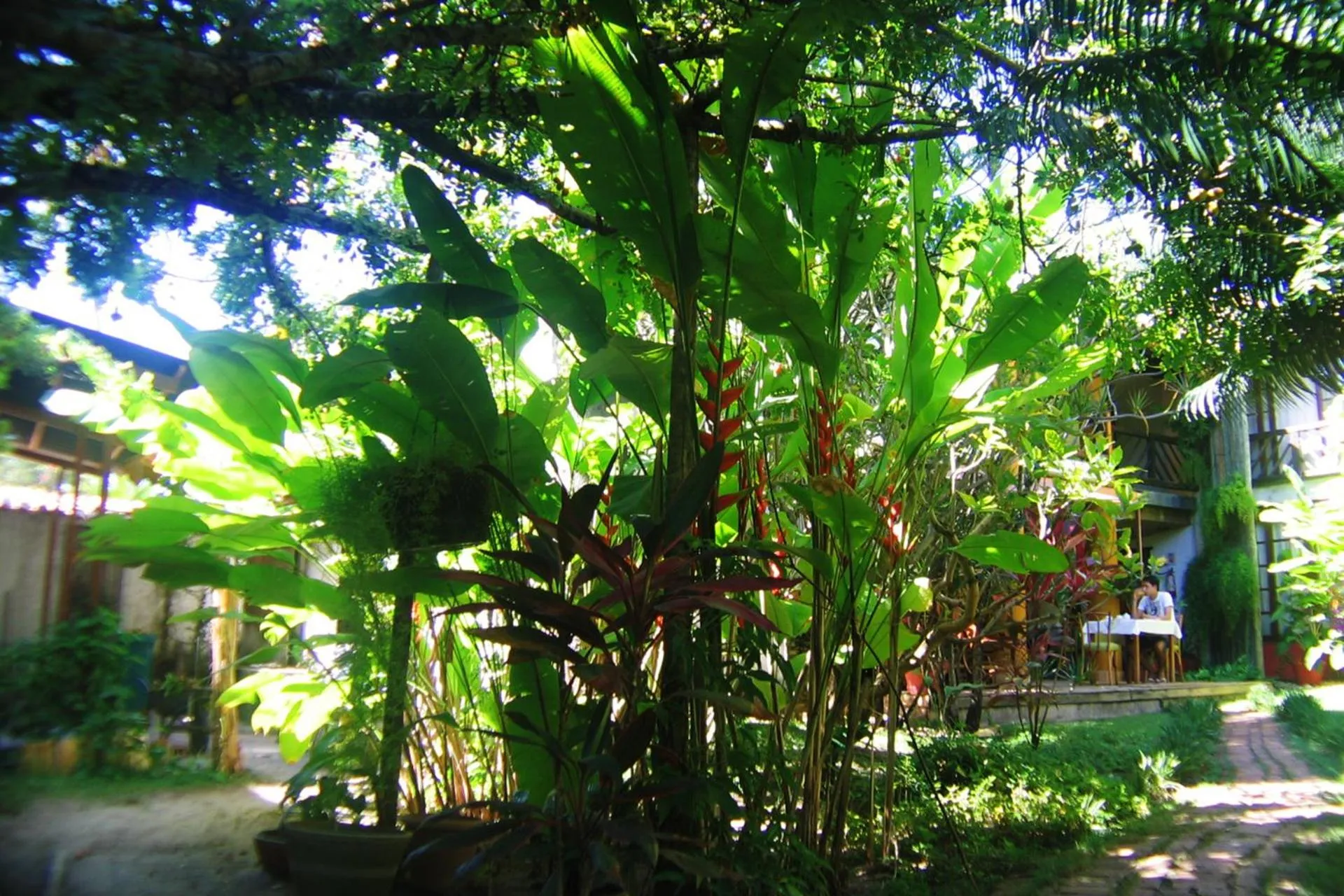 Garden in Pousada Dos Artistas