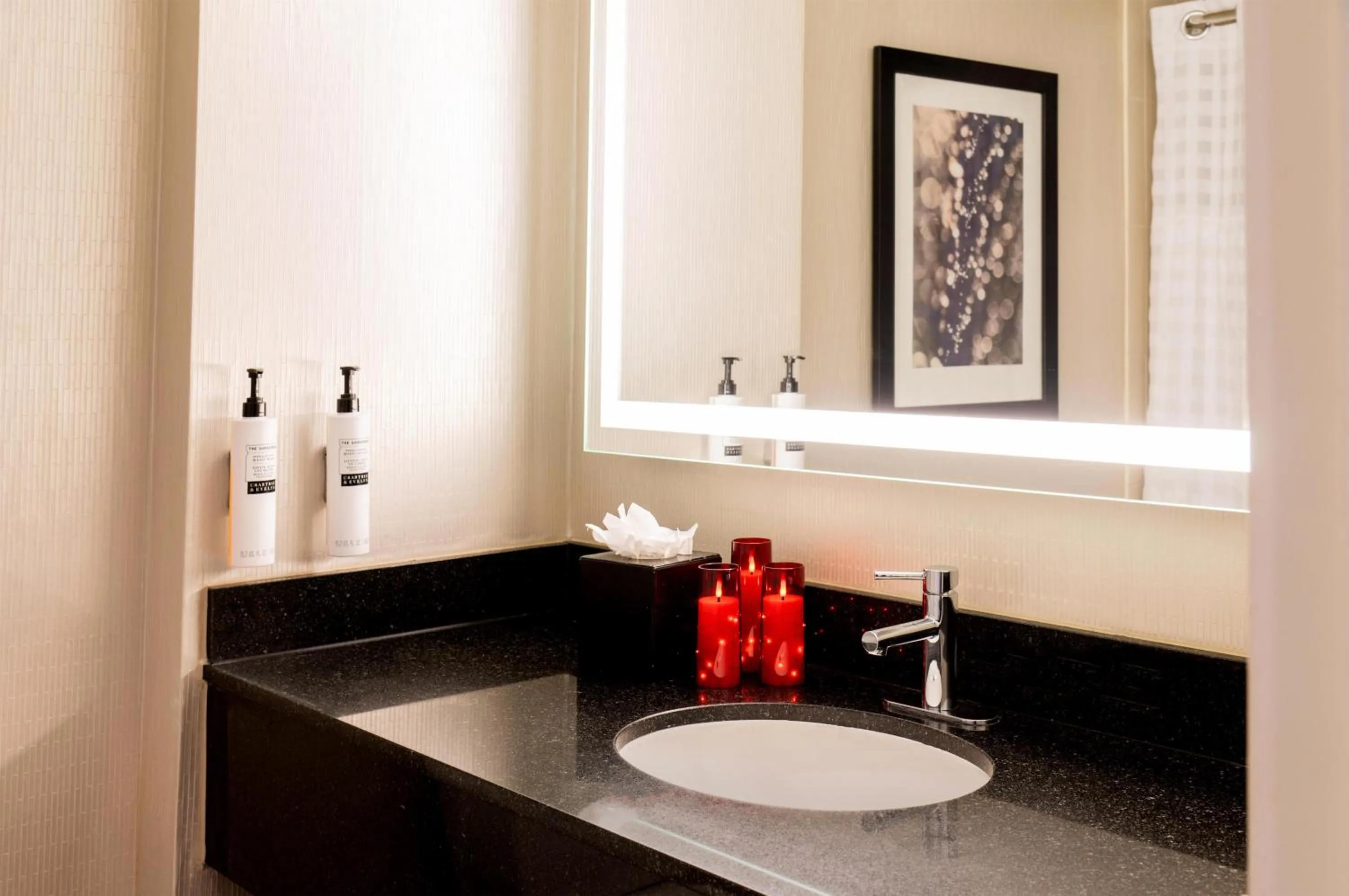 Bathroom in Embassy Suites by Hilton Chicago Downtown Magnificent Mile