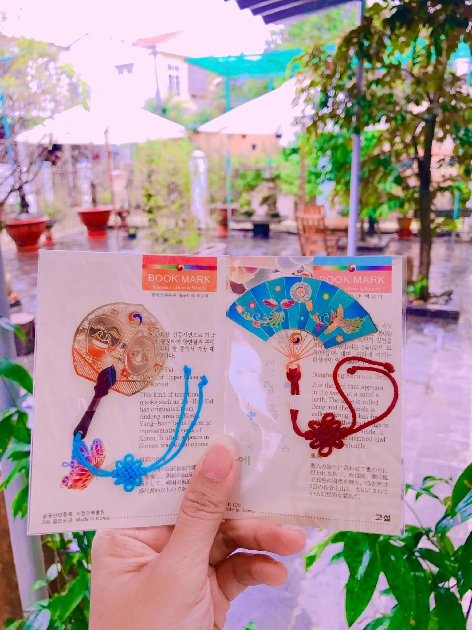 Certificate/Award in Pebble Homestay