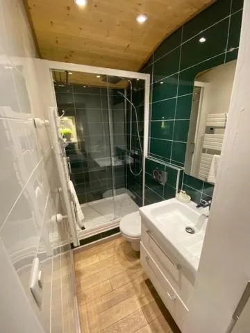 Bathroom in Relais Des Alpes