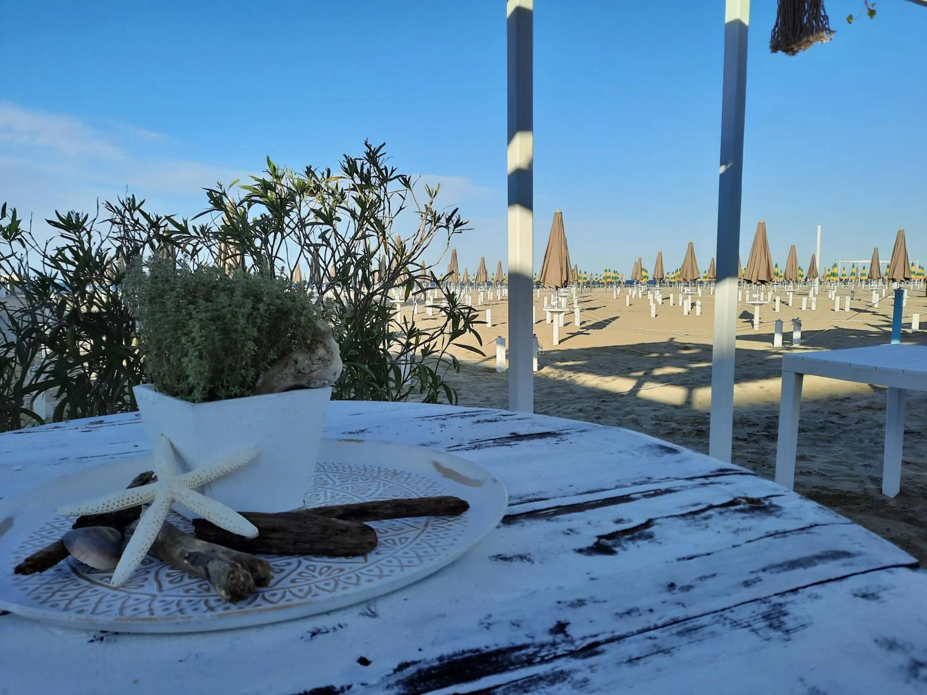 Day in Ostello Stella Marina