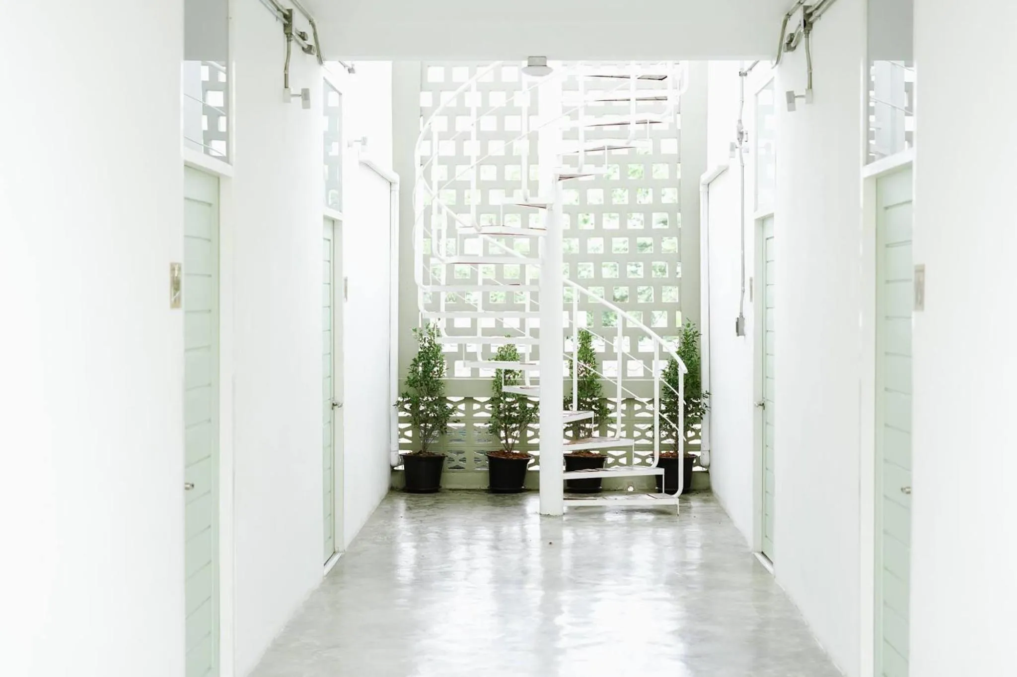 Property building in Memmoth Hostel In Lampang