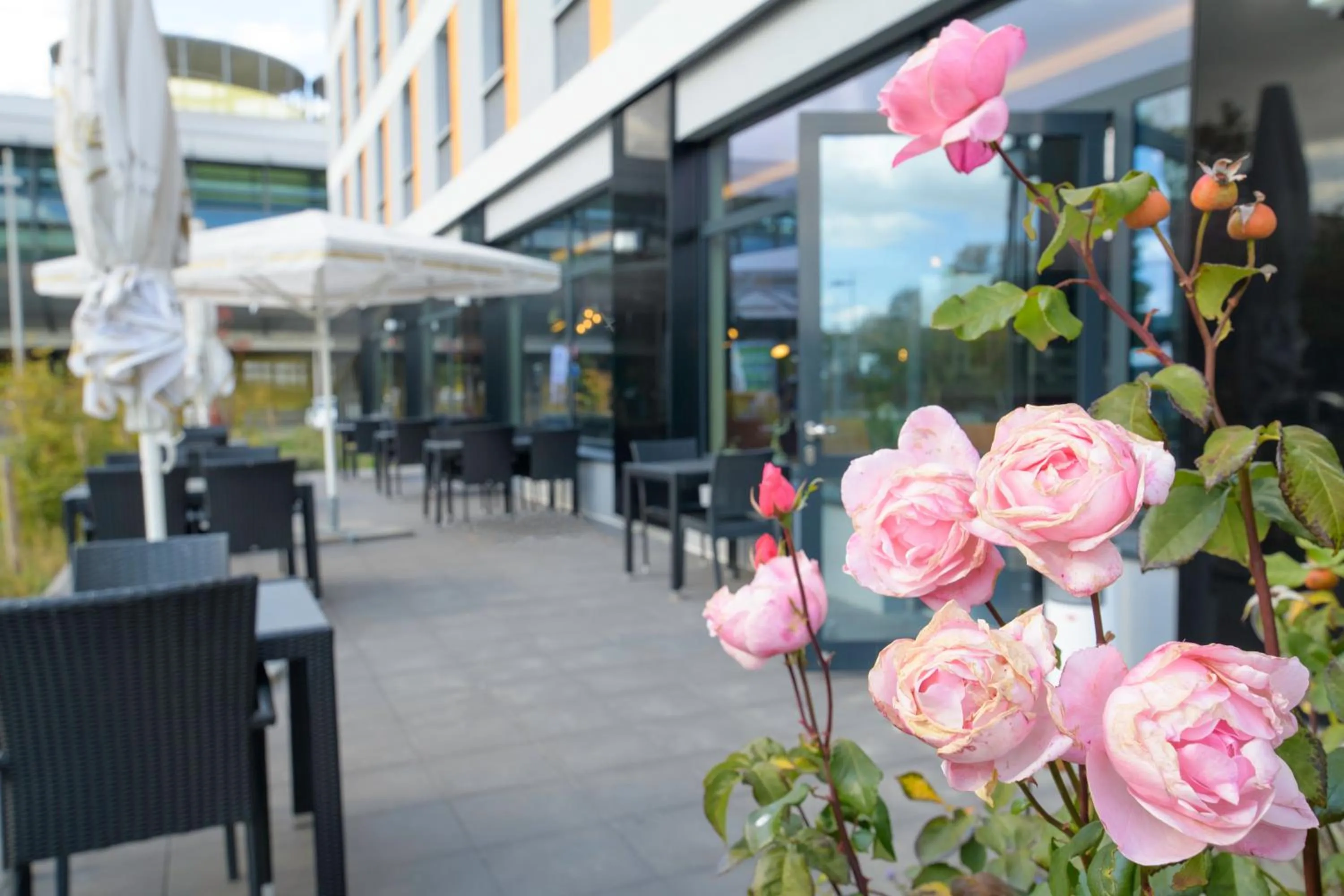 Balcony/Terrace in Campanile Leipzig Halle Airport