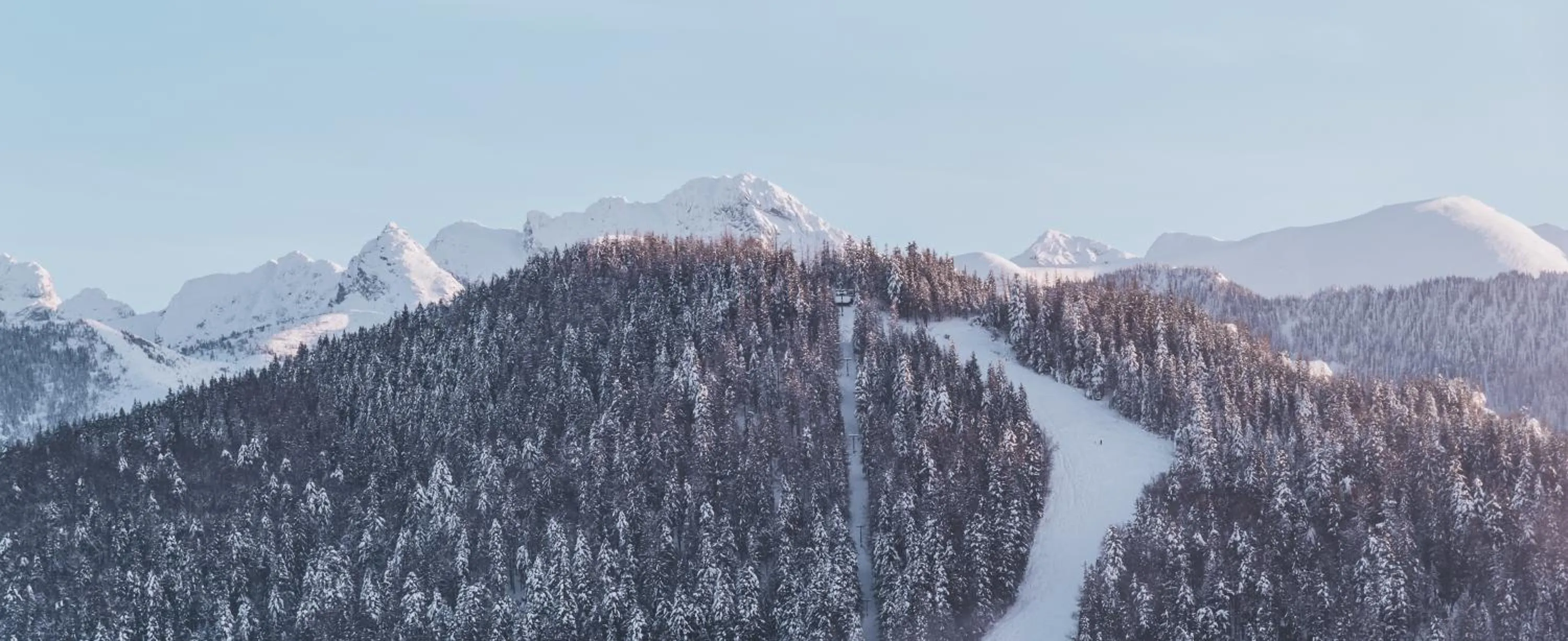 Ski School in Hotel Paryski Art & Business Zakopane - Basen Jacuzzi Sauna Małpi Gaj