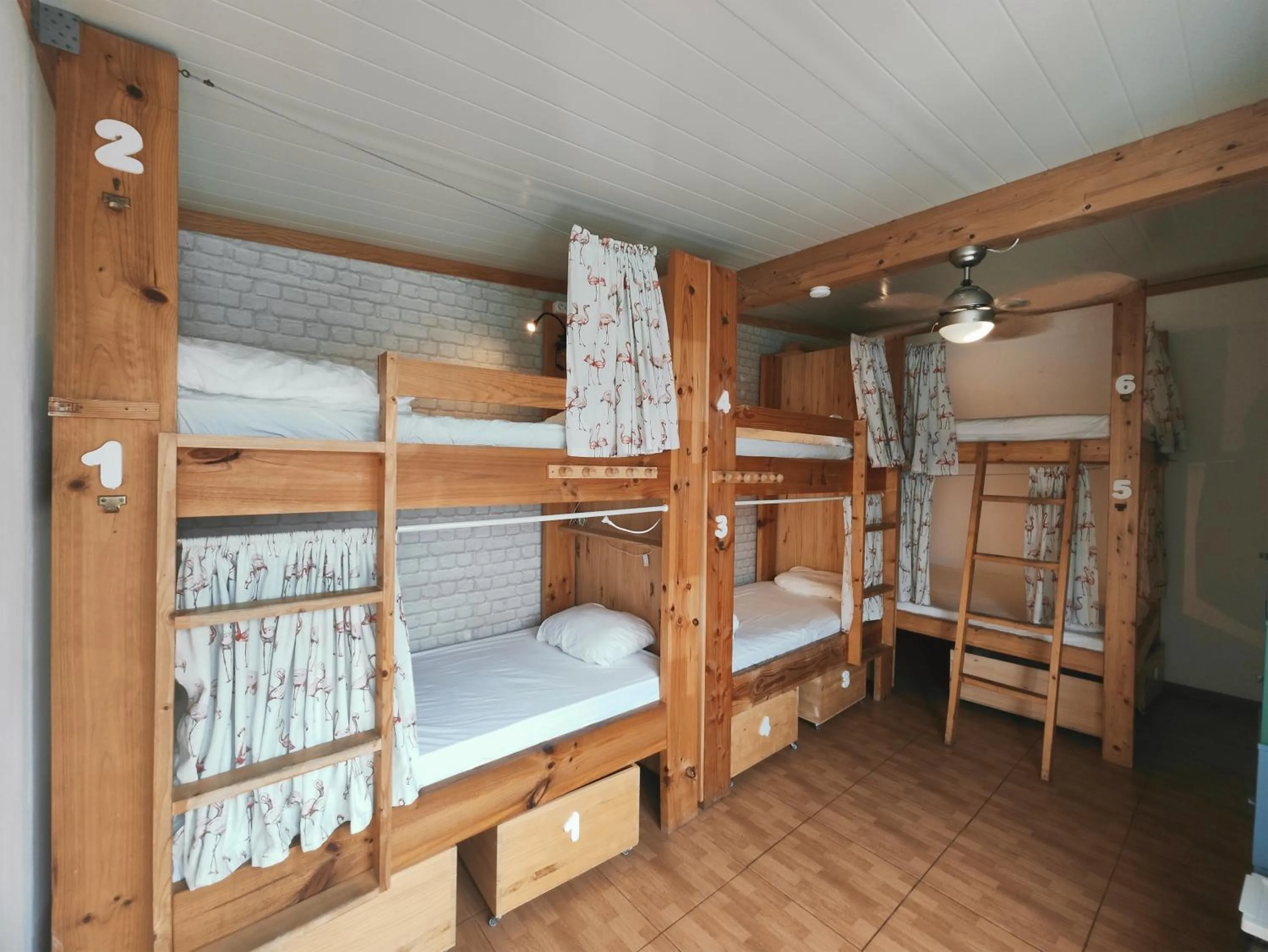 Bed in La Ventana Azul Surf Hostel