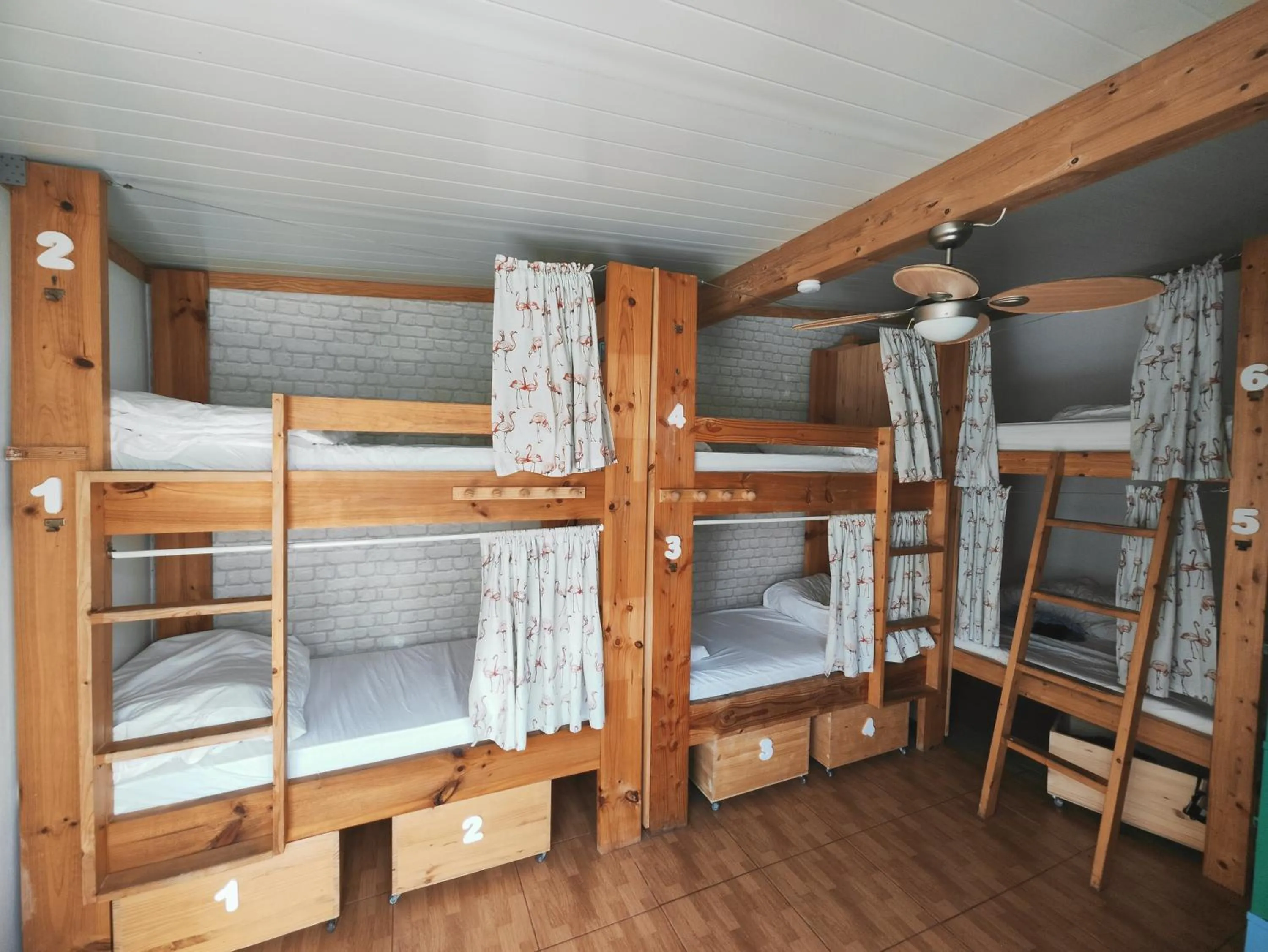 Bed in La Ventana Azul Surf Hostel