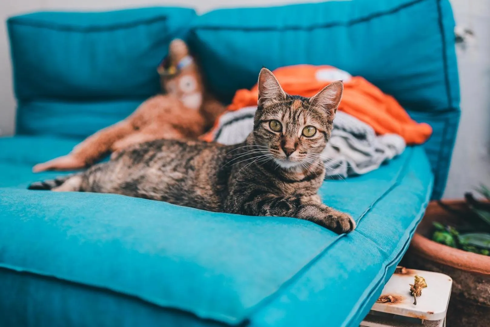 La Ventana Azul Surf Hostel