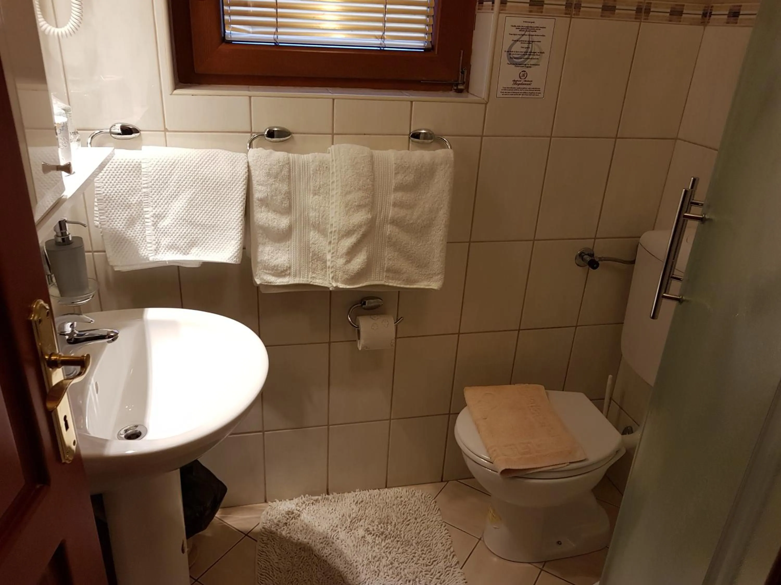 Shower in Apartments Bogdanovic